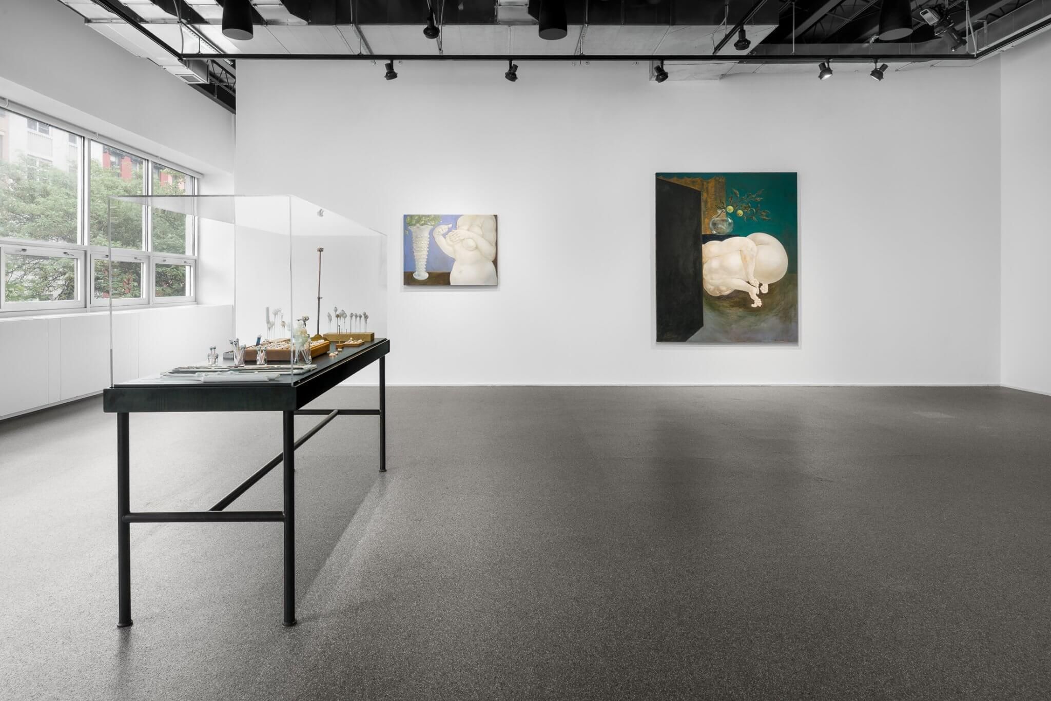 Louise Bonnet & Elizabeth King, De Anima at Swiss Institute, photo 4