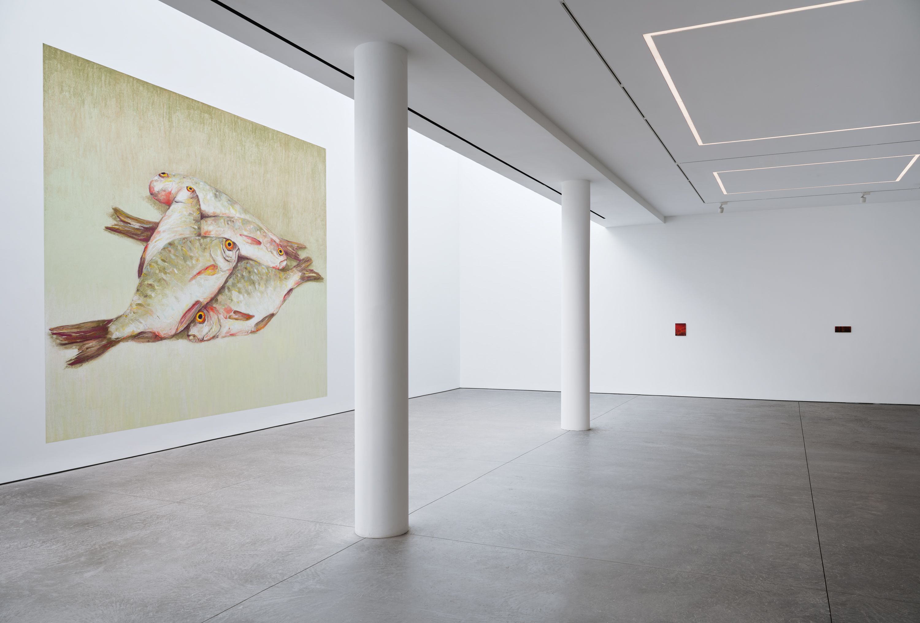 Nicolas Party, Dead Fish at Karma, photo 2
