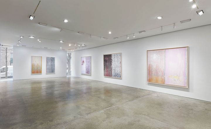Pat Steir, Pat Steir at Pace Prints, photo 8