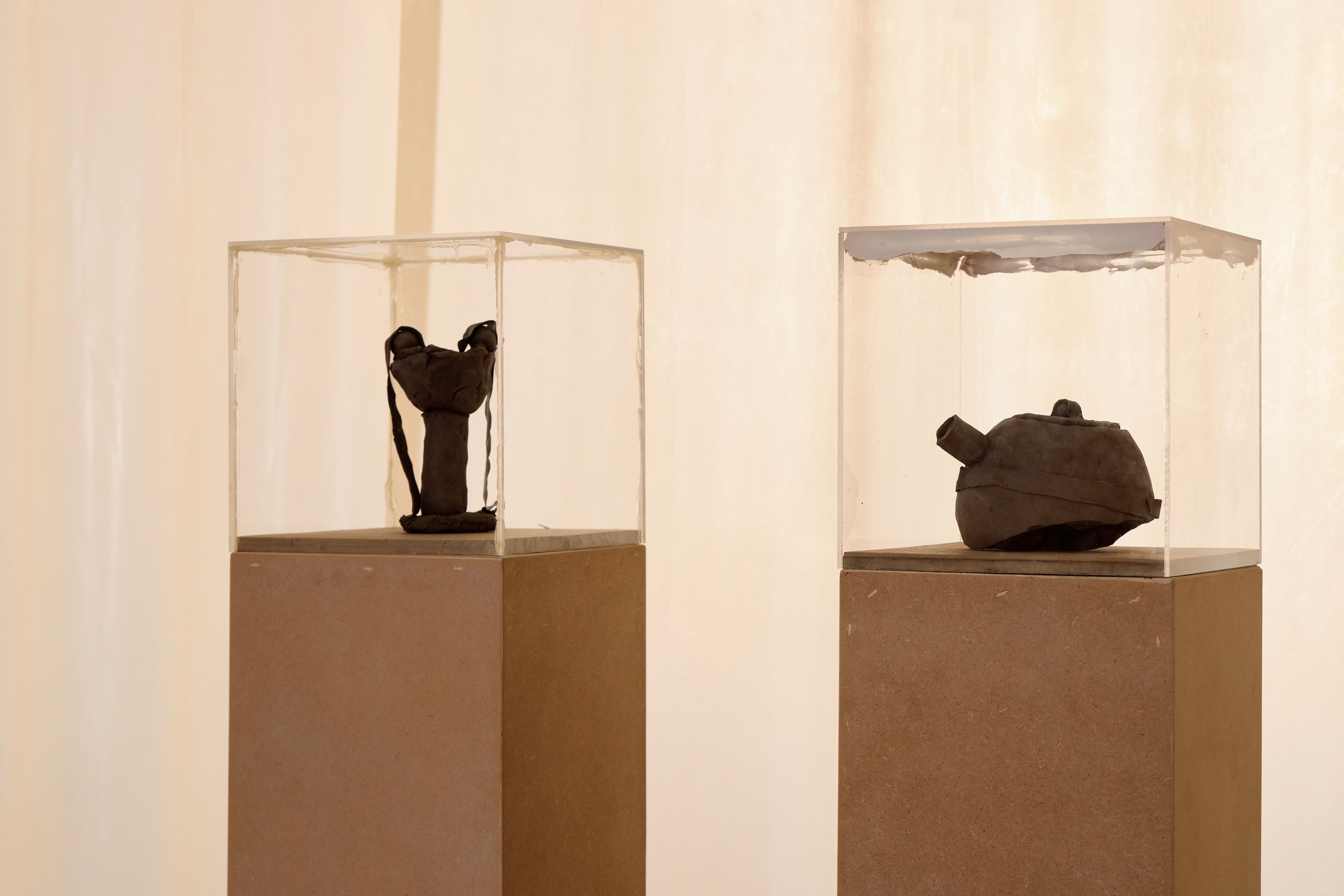 Beatrice Bonino, If I Did, I Did, I Die at Jacqueline Sullivan Gallery, photo 2