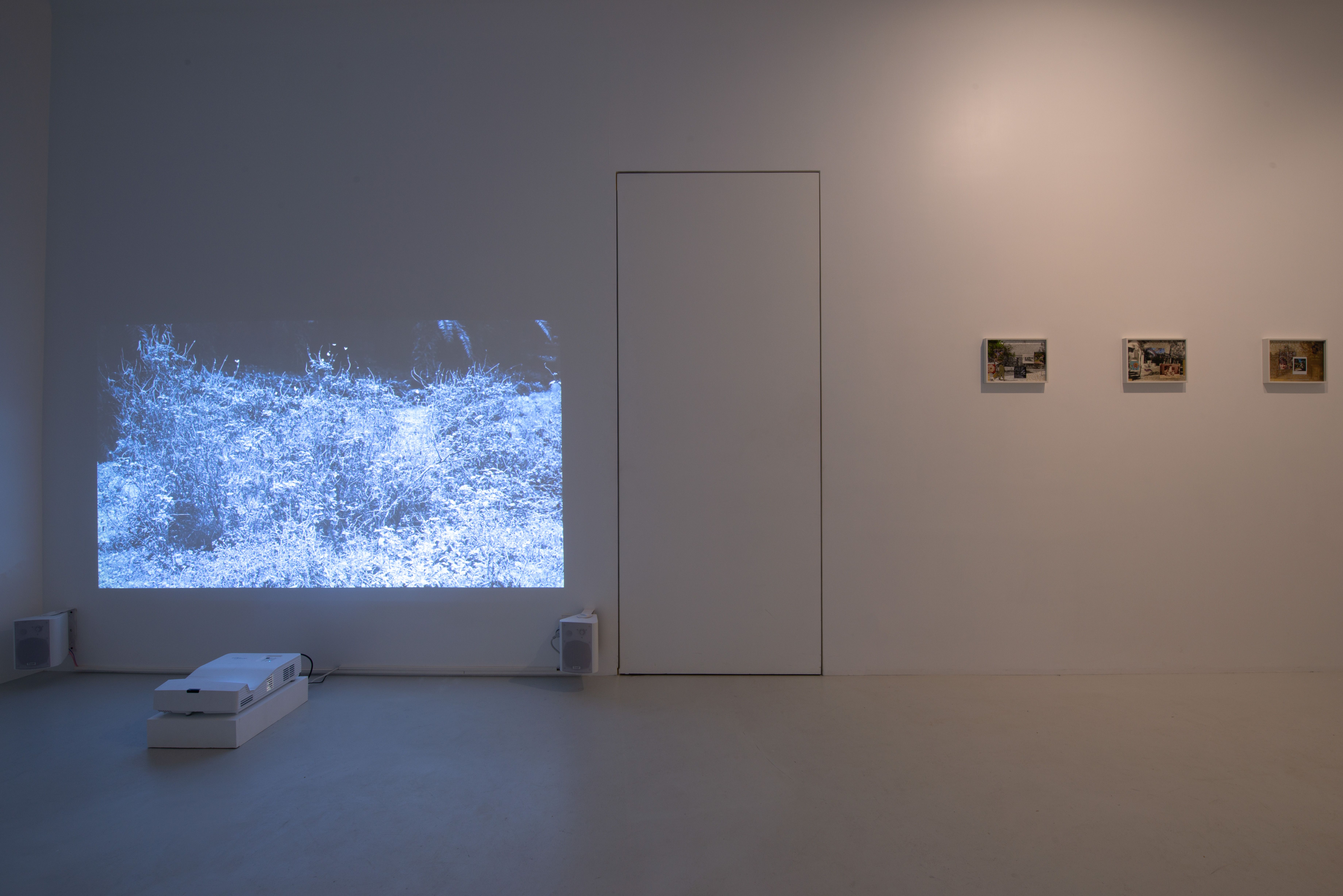 Daniel Blaufuks, image 2 of 6