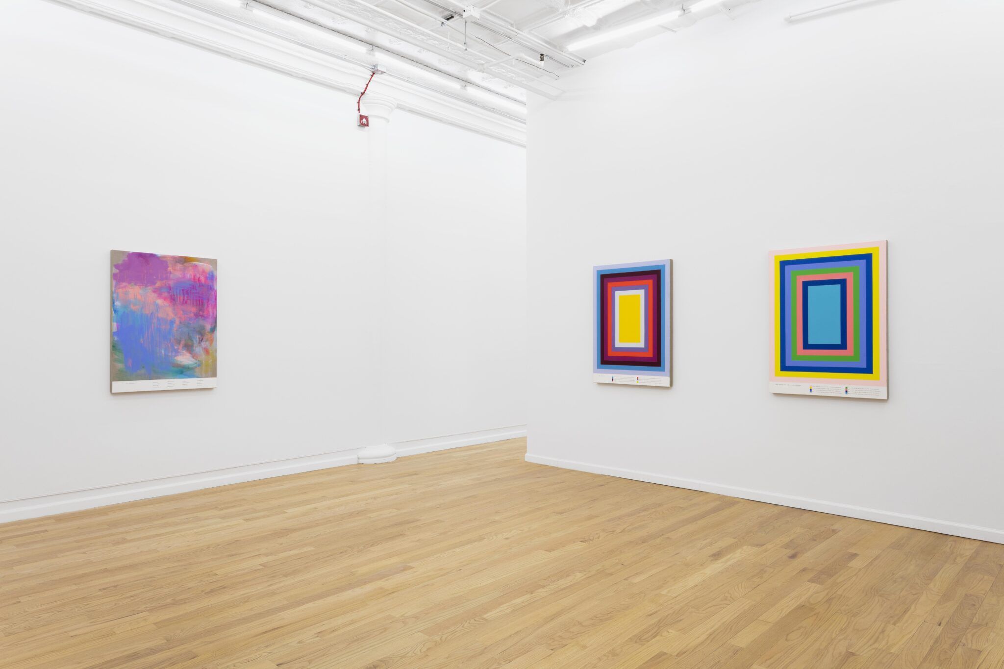Andrew Kuo, Water Lilies at Broadway, photo 2