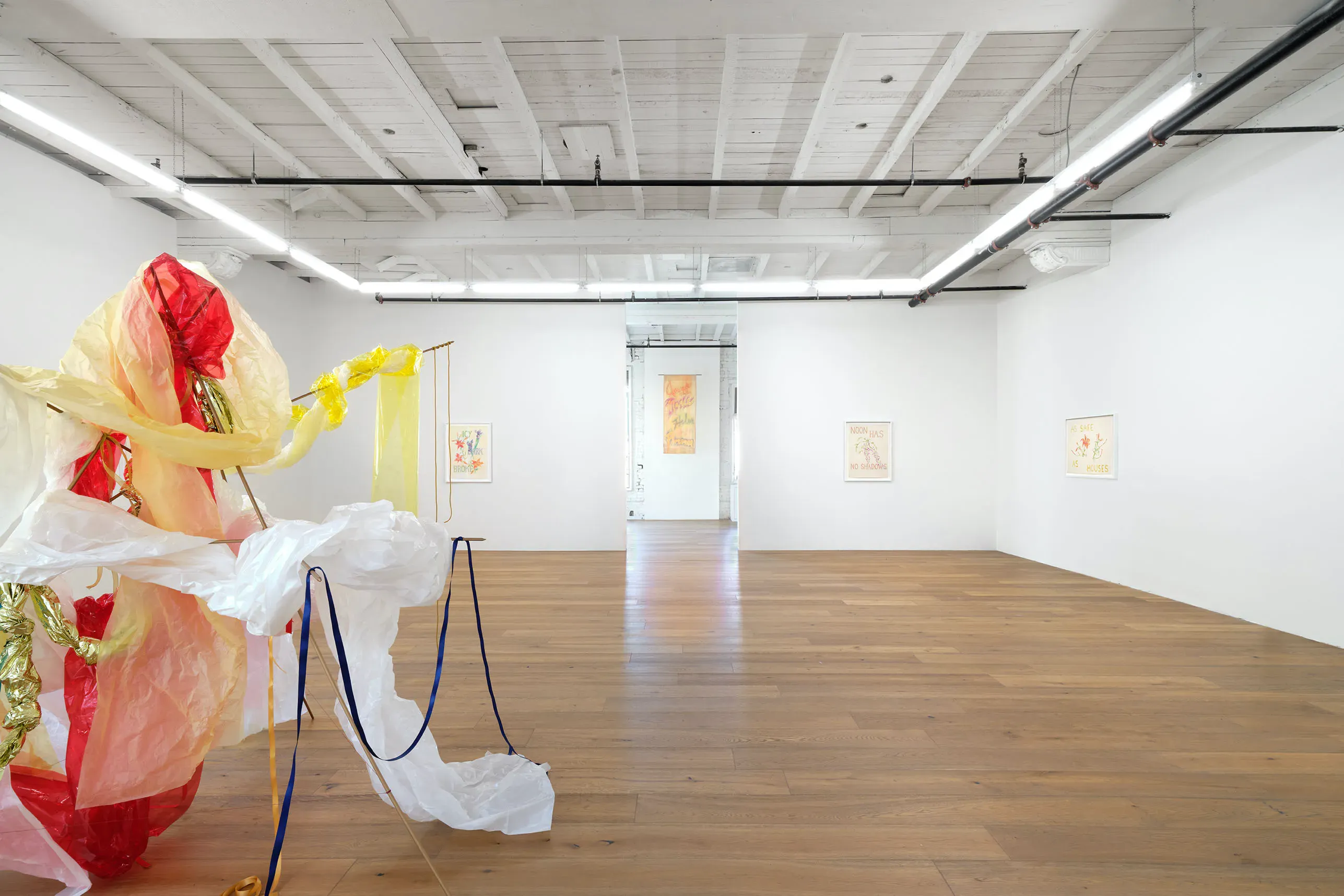 Rosemary Mayer, Noon Has No Shadows at Hannah Hoffman, photo 7