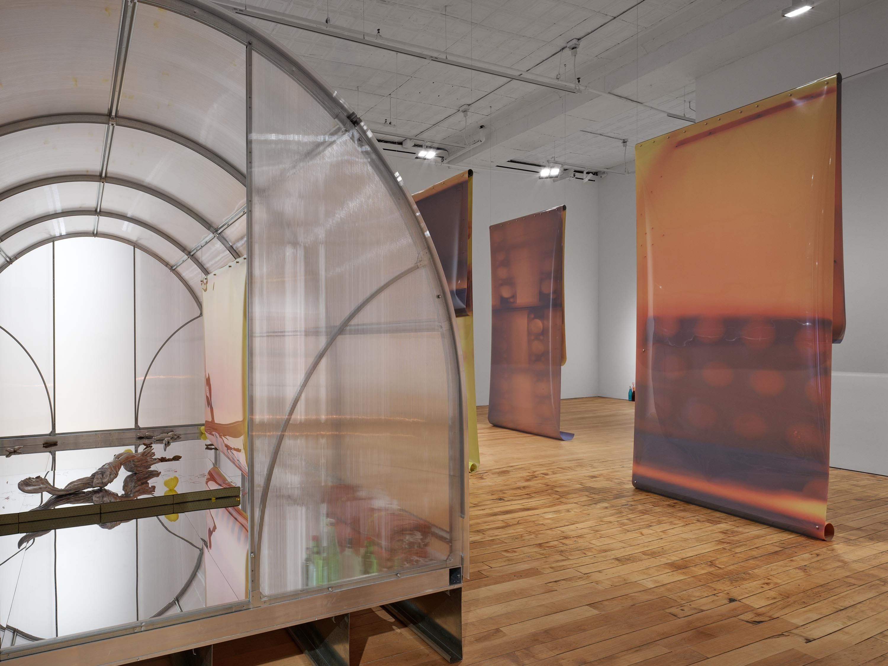 Lotus L. Kang, Already at 52 Walker, photo 2