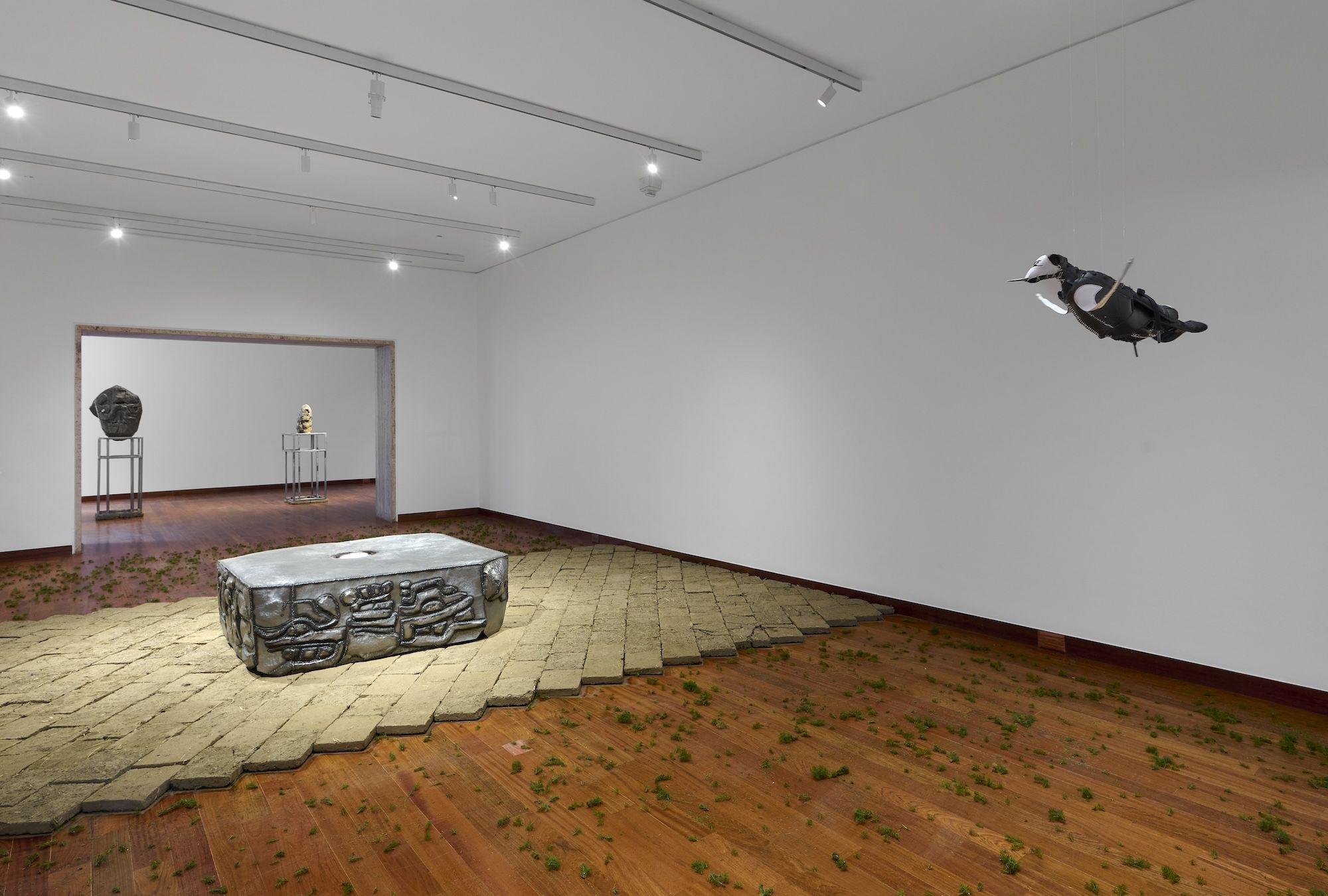Beatriz Cortez & Rafa Esparza, Earth and Cosmos at Americas Society, photo 8