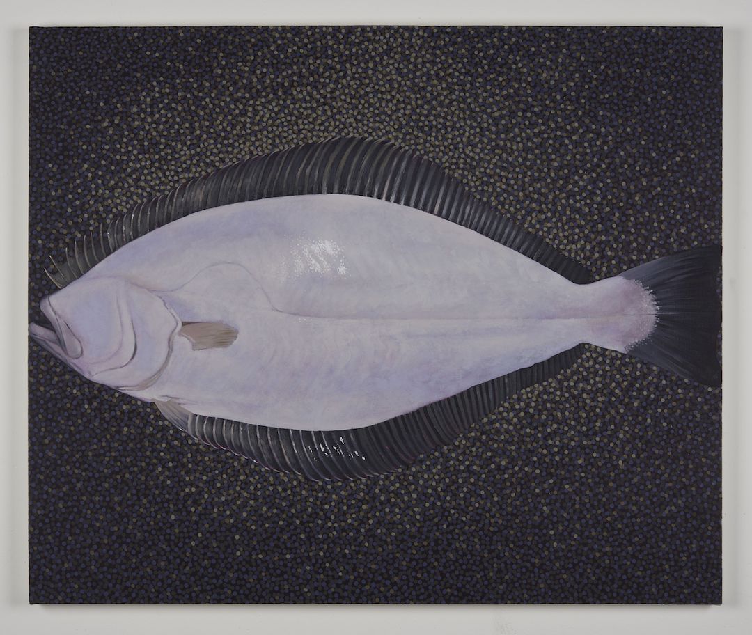 Adam Higgins, Flatfish at Hunter Shaw Fine Art, photo 9