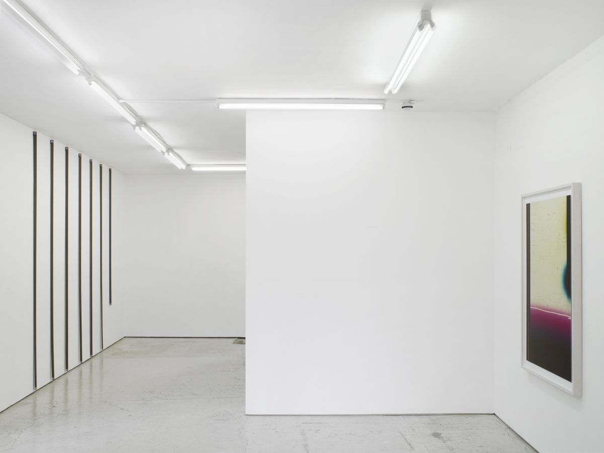Elizabeth McAlpine, Light Reading at Laura Bartlett, photo 3