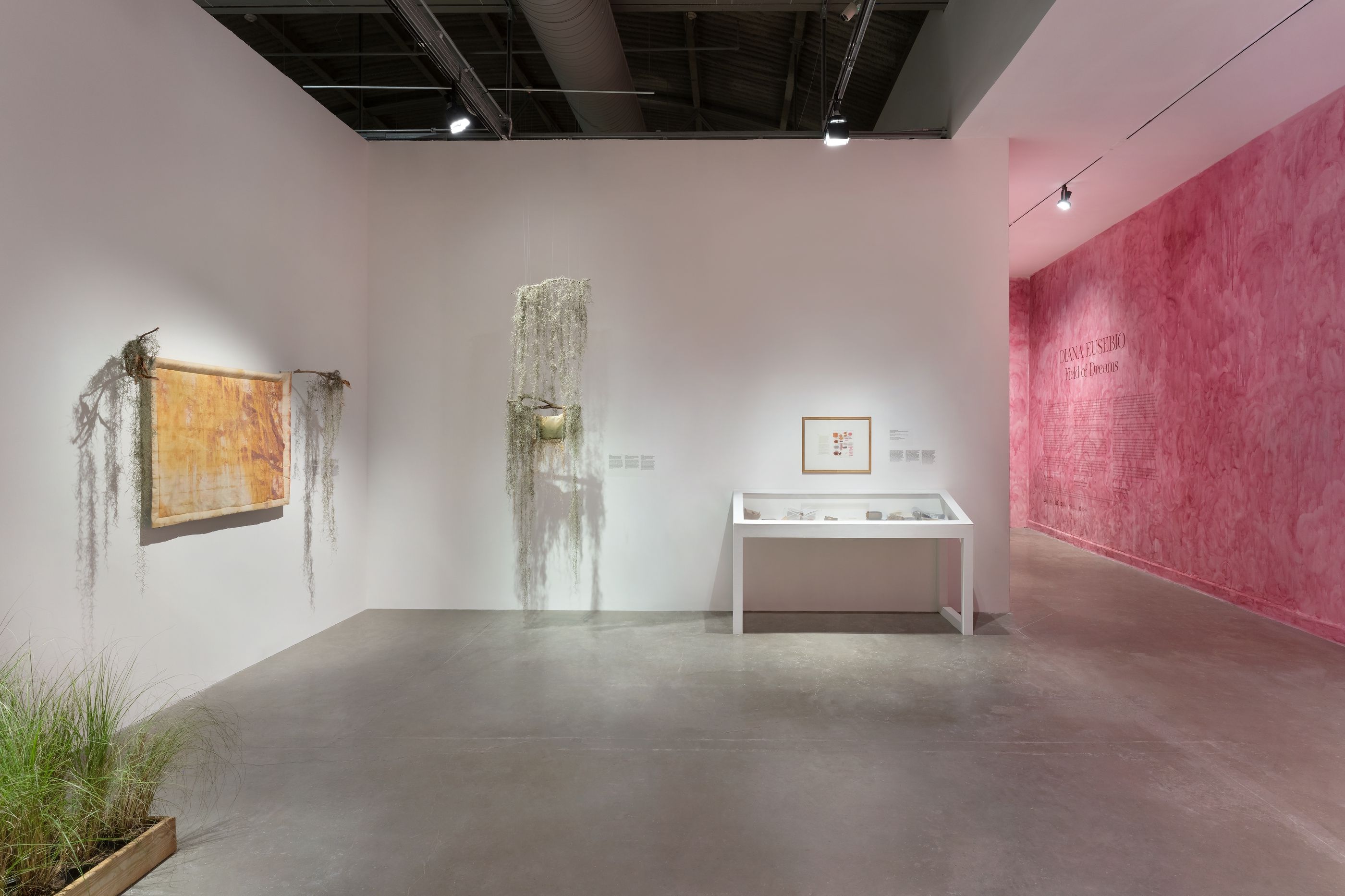 Diana Eusebio, Field of Dreams at MOCA North Miami, photo 2