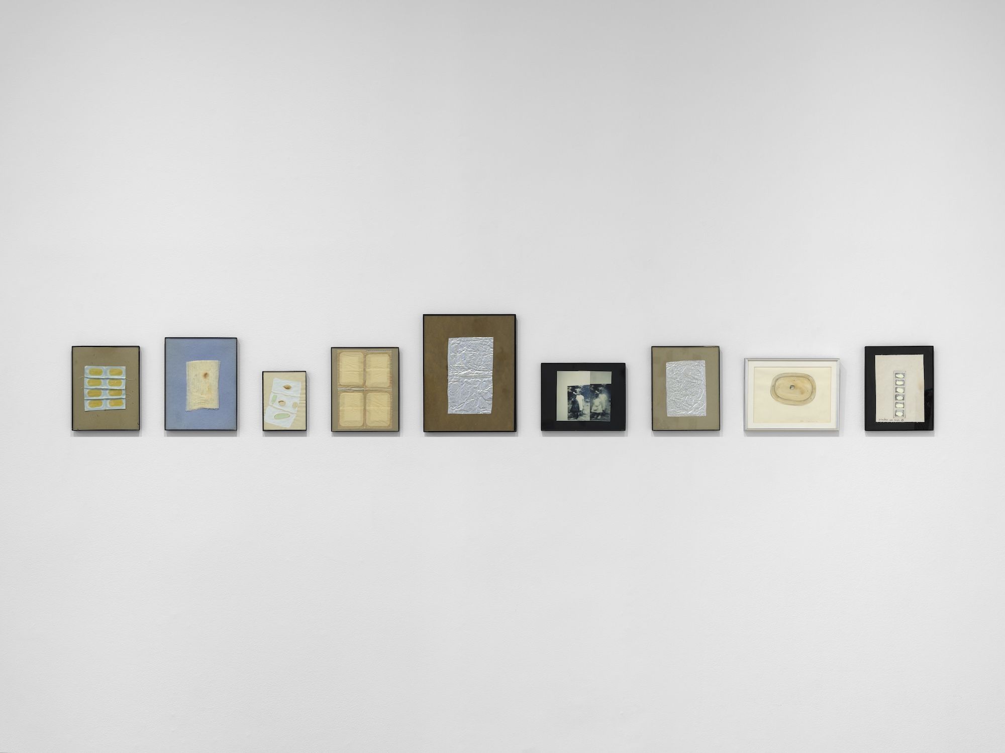 Veronica Ryan, Retrieval at Paula Cooper, photo 7