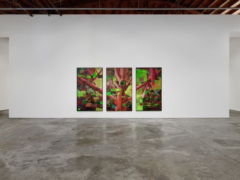 Ross Caliendo, Peace Fellow at Night Gallery, photo 2