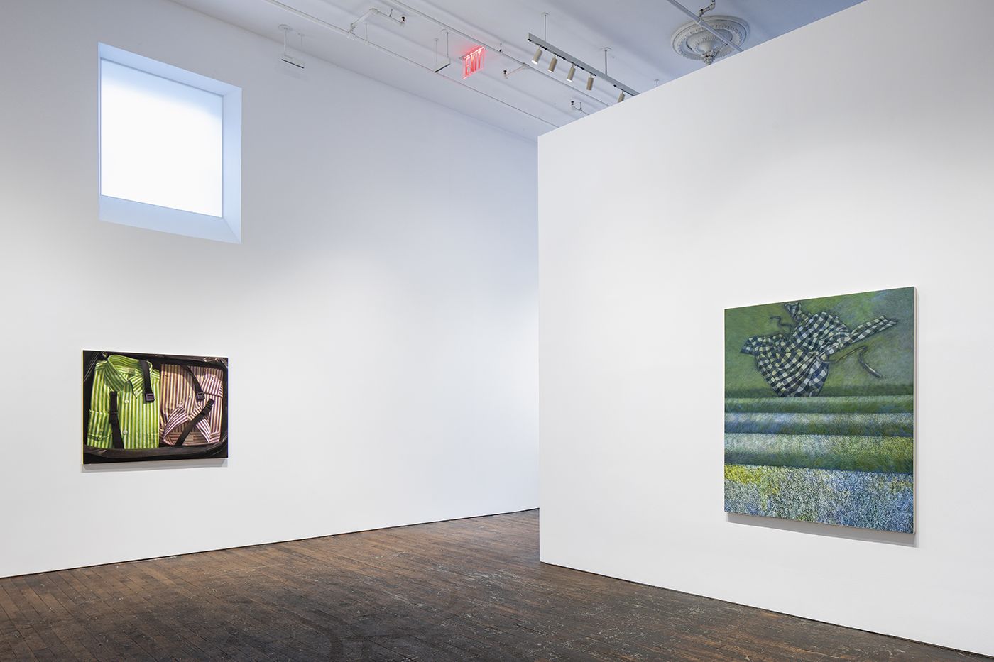 Catherine Murphy, Recent Work at Peter Freeman, photo 2