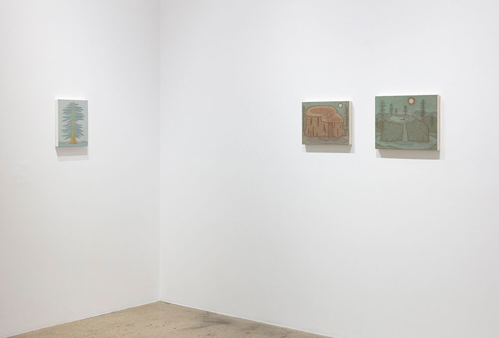 John Dilg, Features at Steve Turner, photo 4