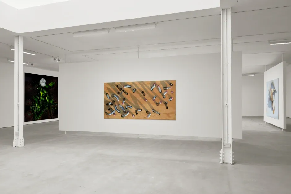 Seth Price, Art Is Not Human at Sadie Coles, photo 5