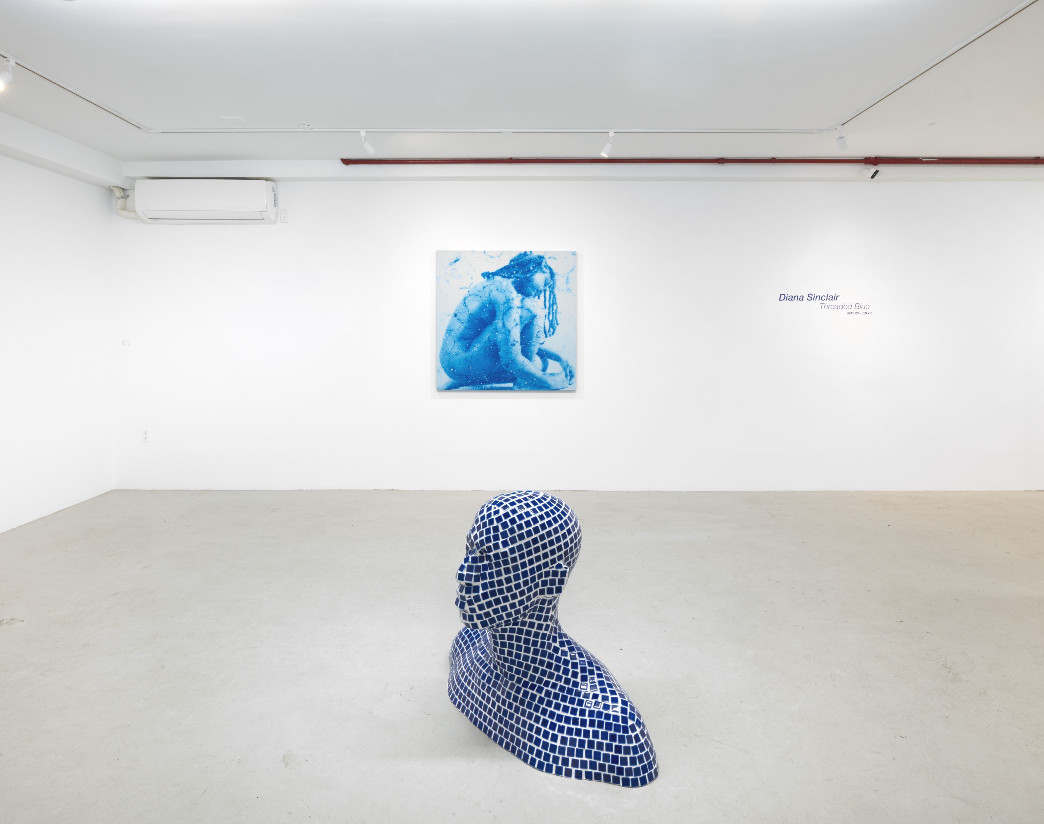Diana Sinclair, Threaded Blue at Plato, photo 4