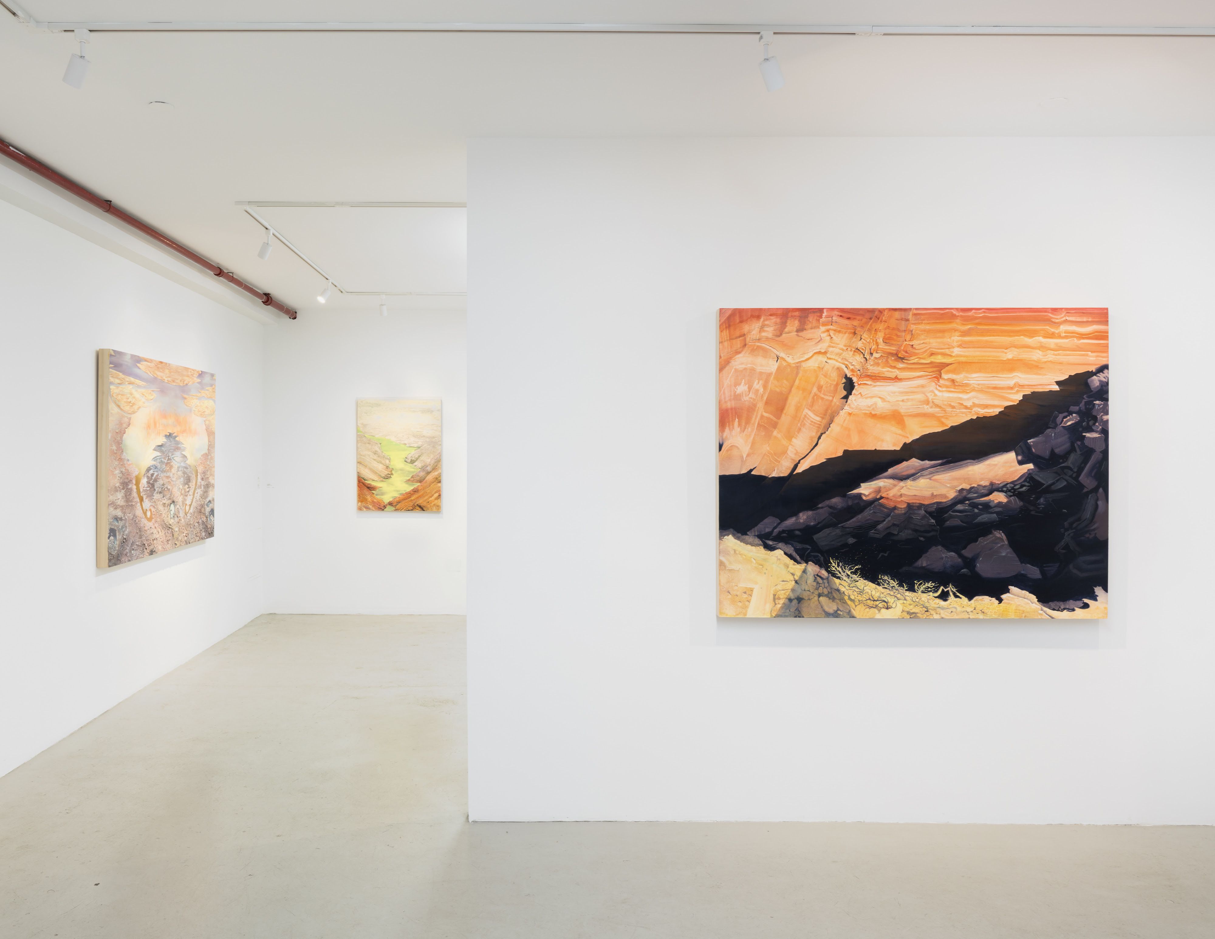 Eleanor Mahin Thorp, Bend of the Southern Cross at Plato, photo 5