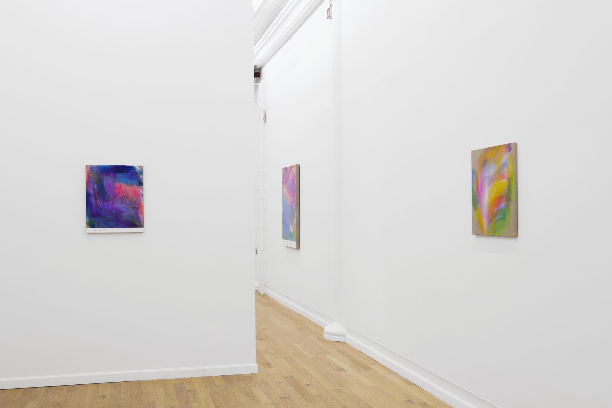 Andrew Kuo, Water Lilies at Broadway, photo 8