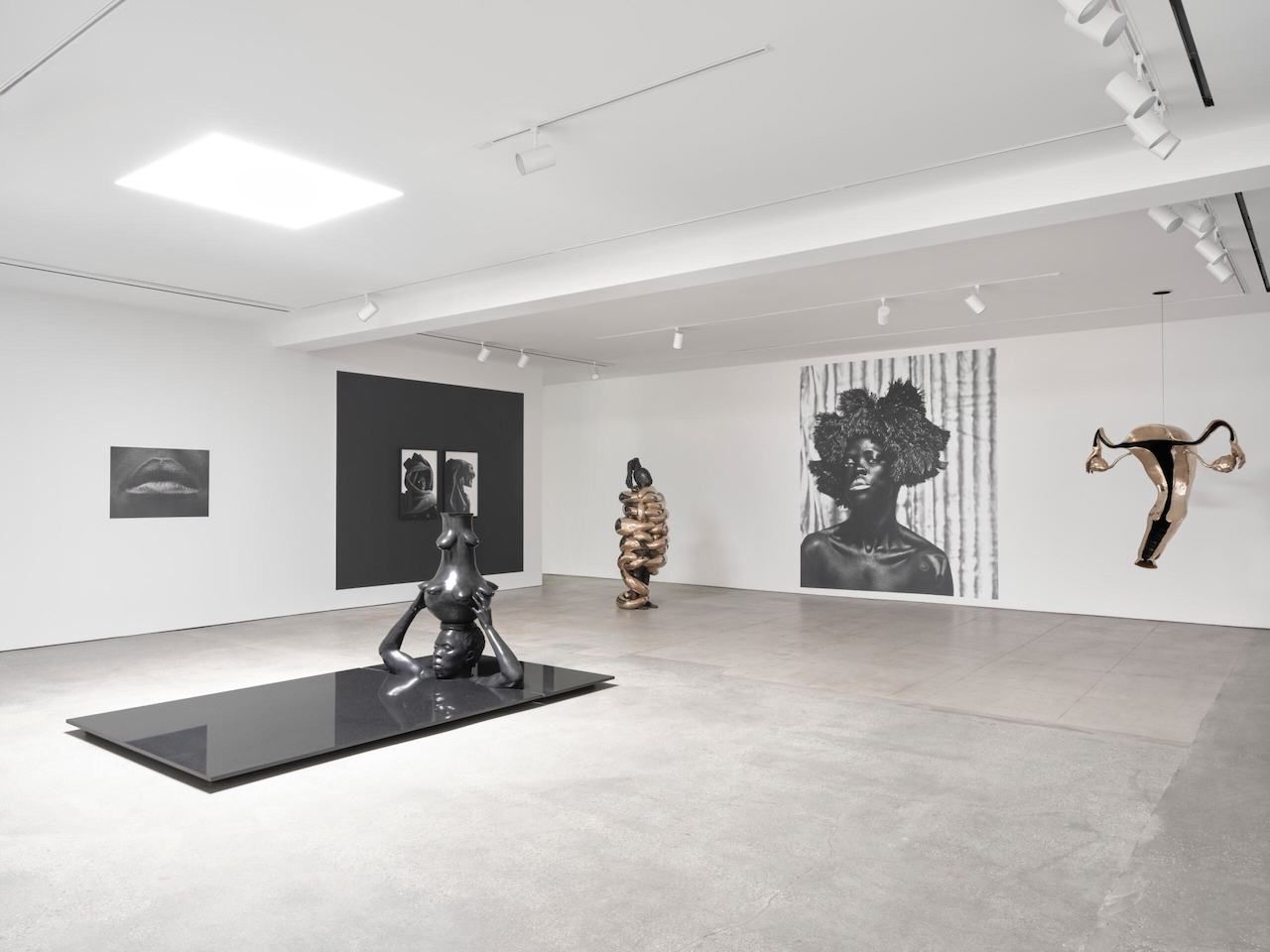 Zanele Muholi, Zanele Muholi at Southern Guild, photo 4