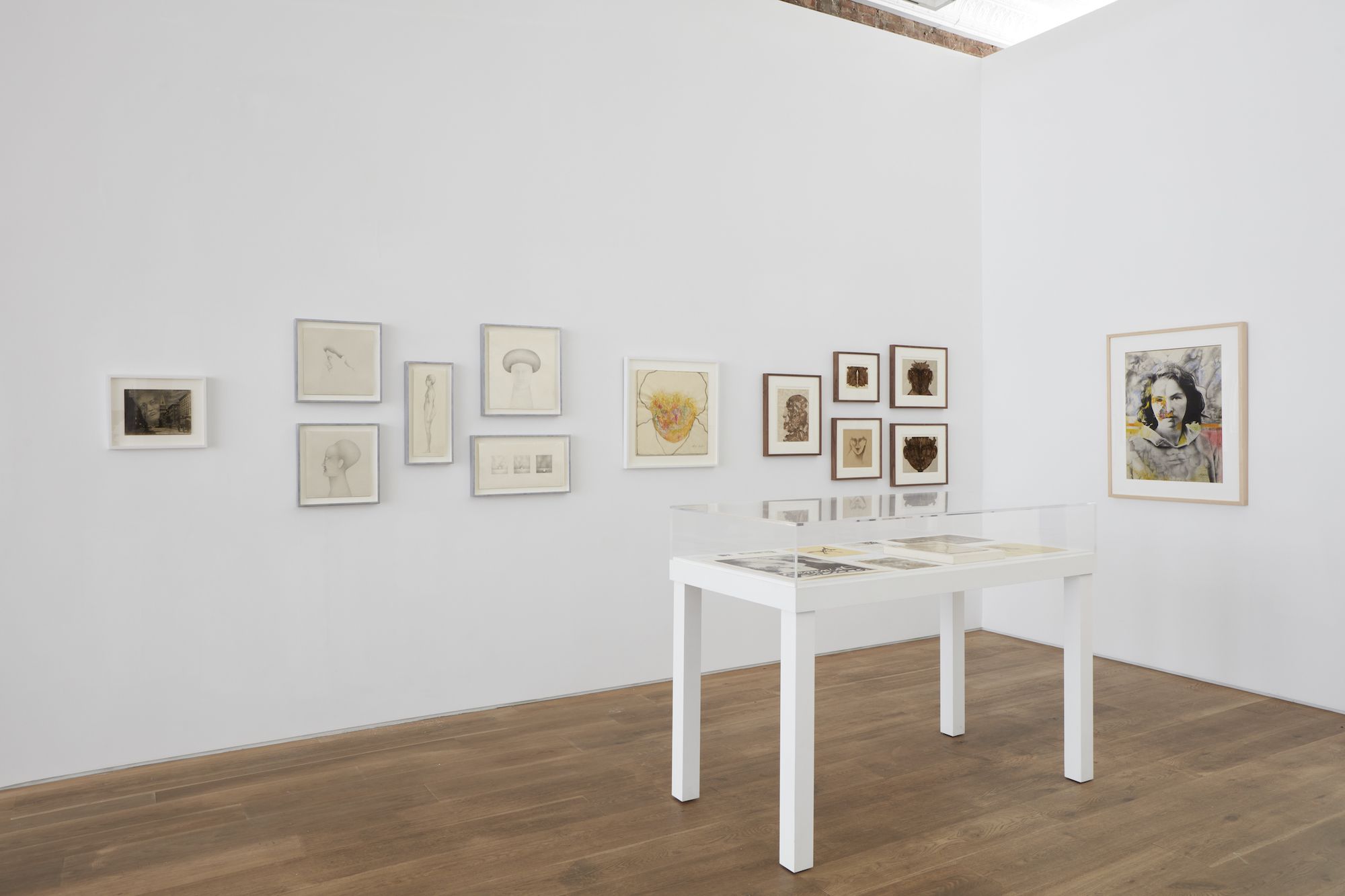 Anita Steckel, My Town at Ortuzar Projects, photo 9