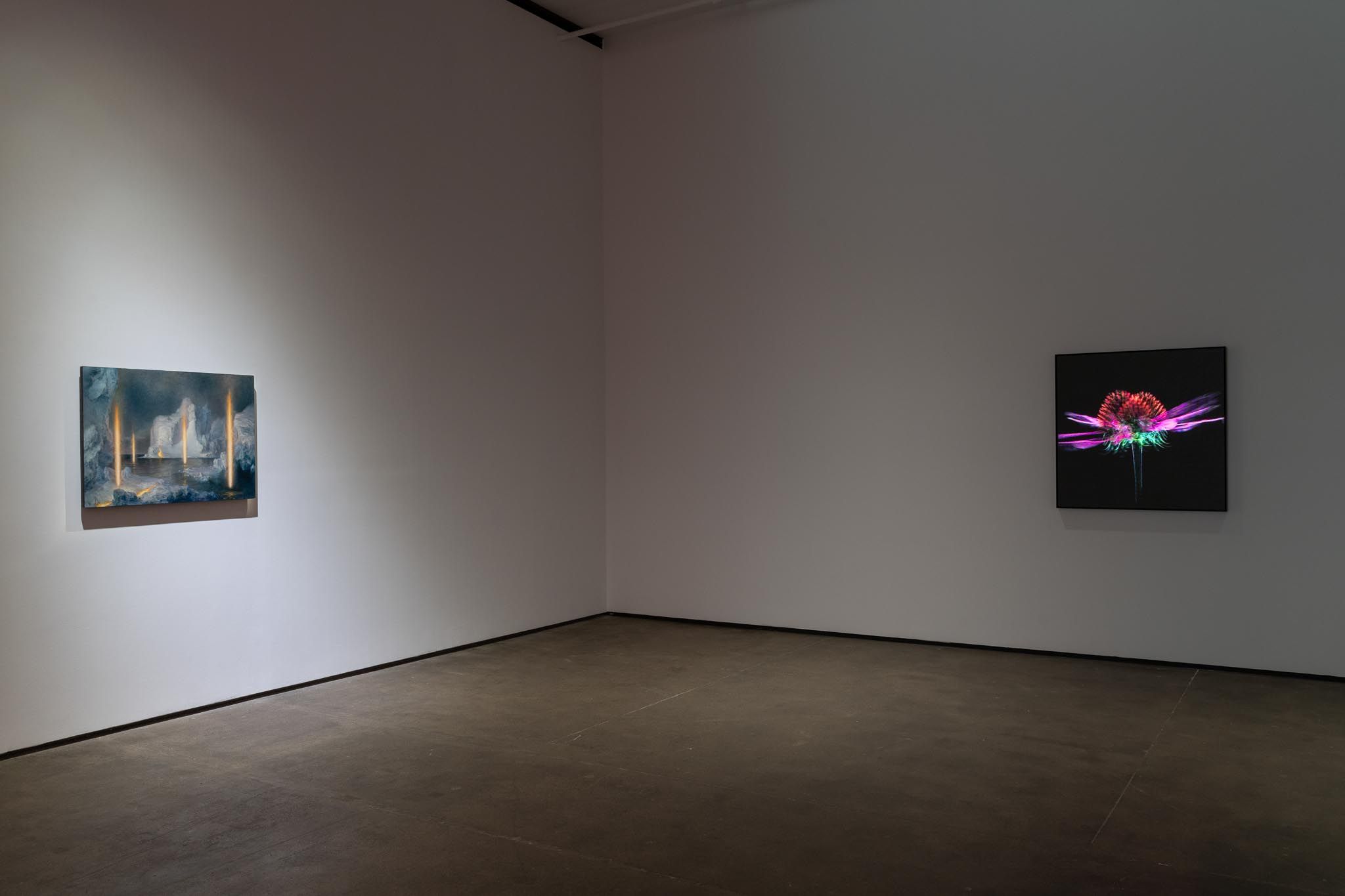 Installation view 7