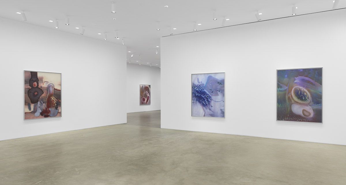 Anicka Yi, ÄLñ§ñ at Gladstone, photo 5