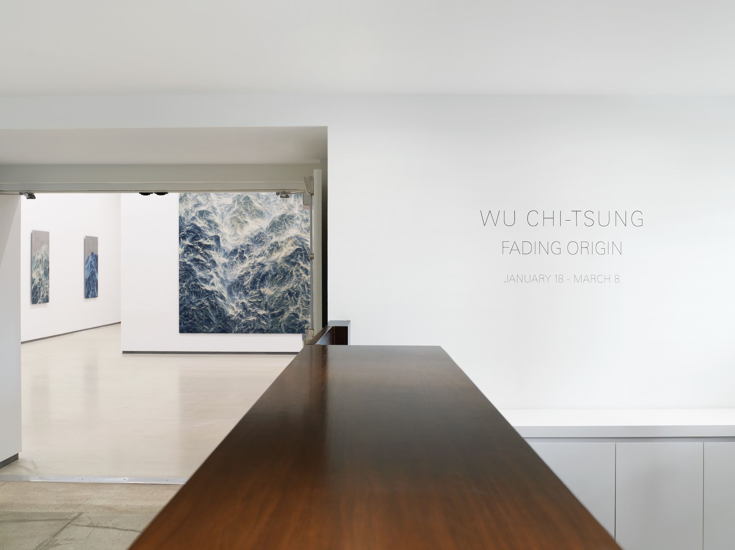 Wu Chi-Tsung, Fading Origin at Sean Kelly, photo 9