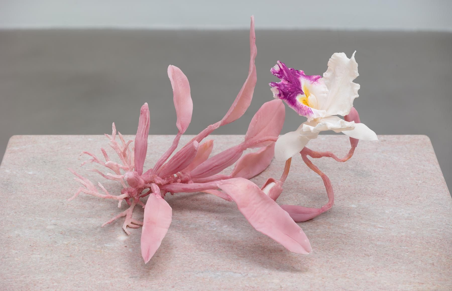 Keith Edmier, Regeneratrix at Petzel, photo 6