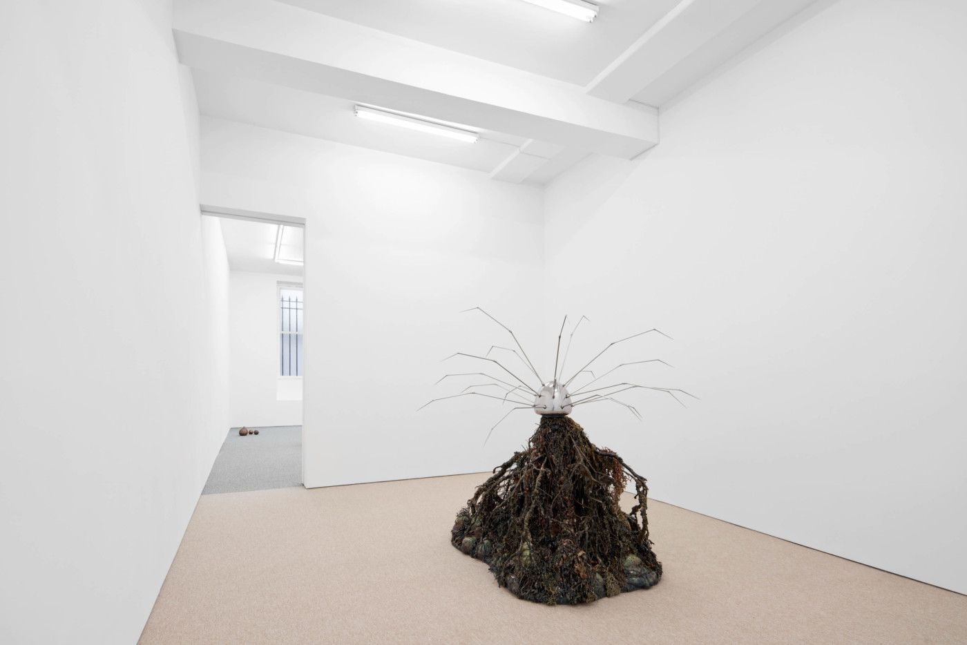 Max Hooper Schneider, Damaged by Miracles at High Art, photo 10