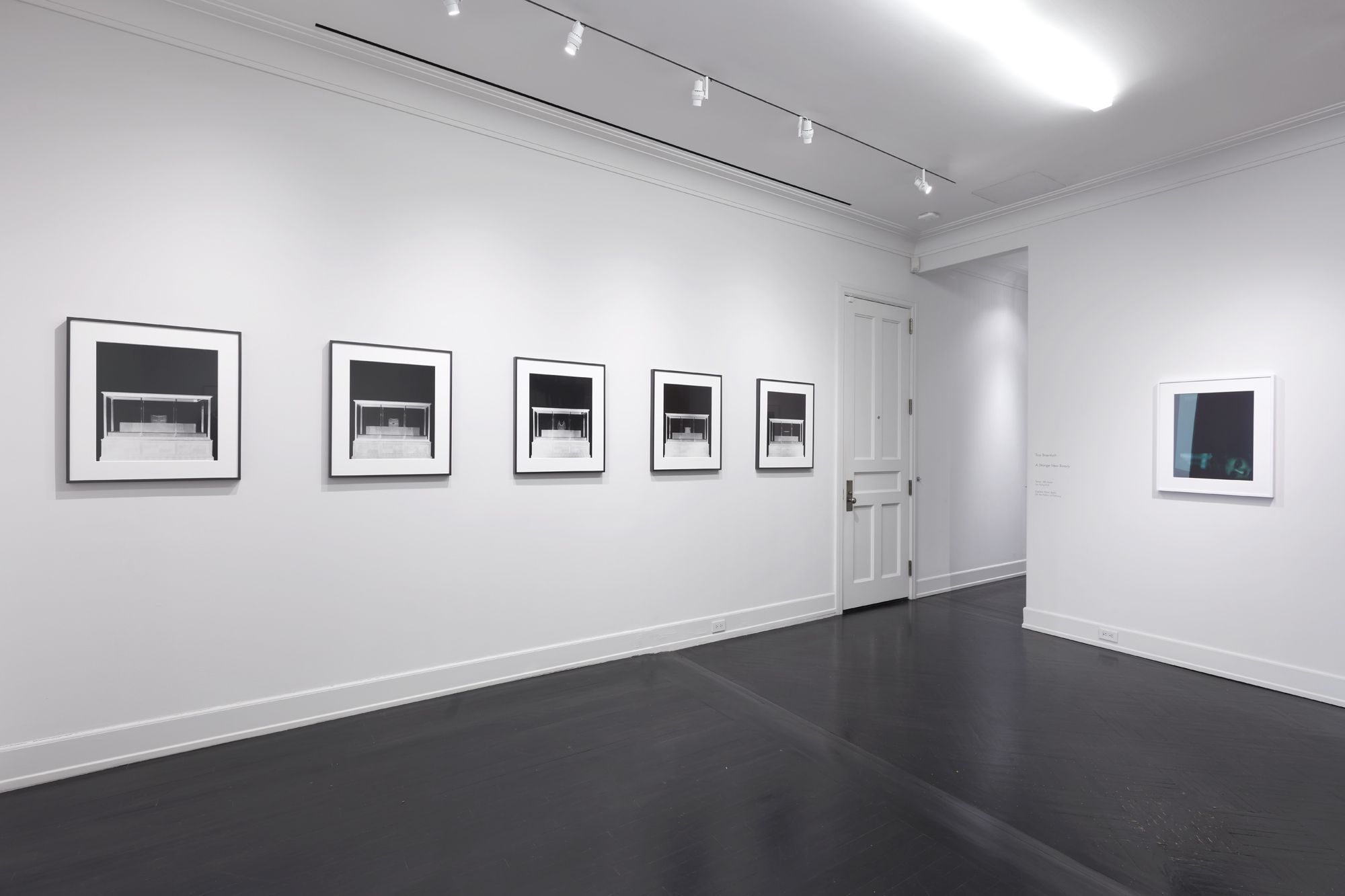 Troy Brauntuch, A Strange New Beauty at Petzel, photo 4