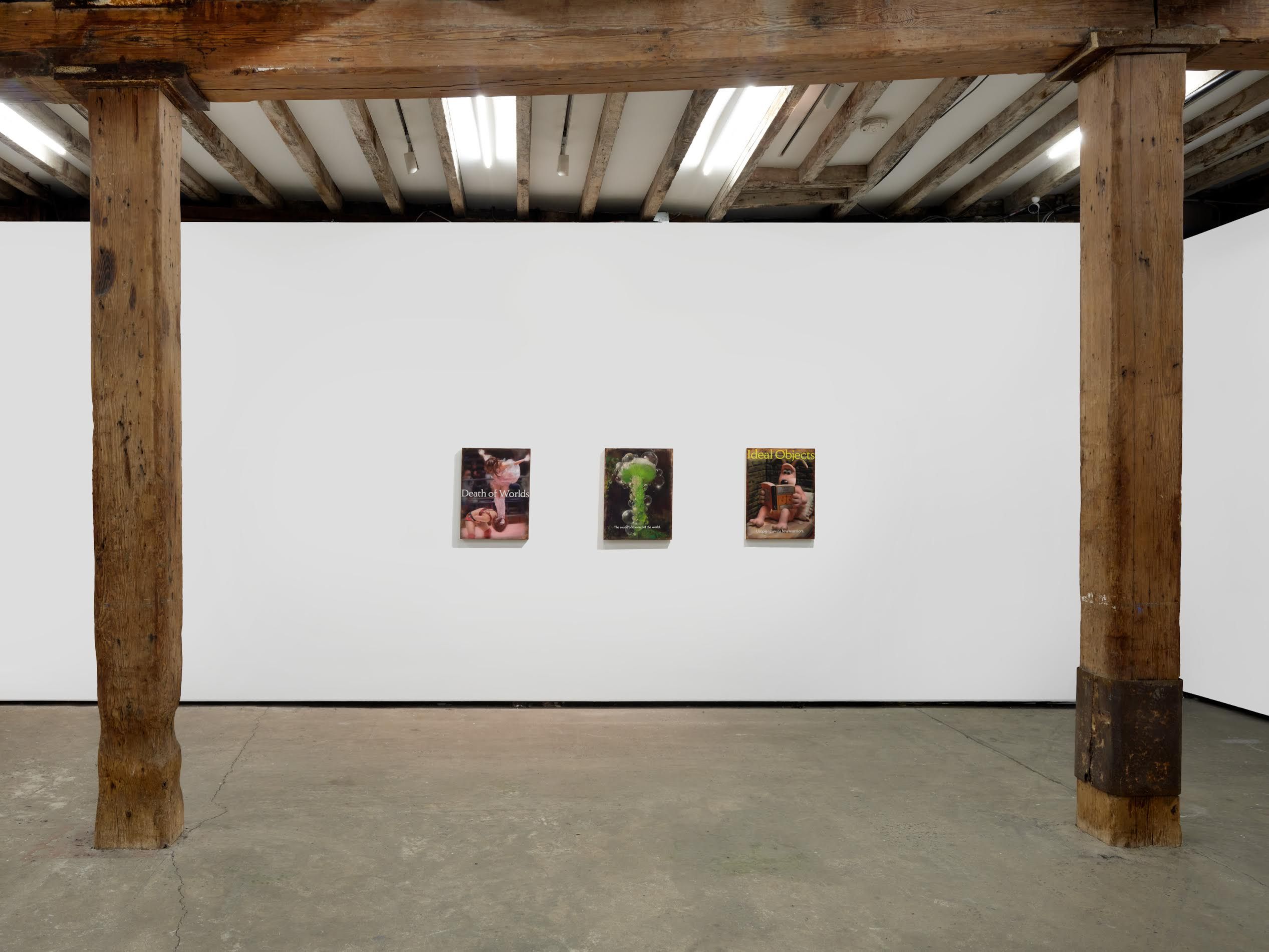 Craig Boagey, Knowledge as Alchemy at Amanita, photo 5