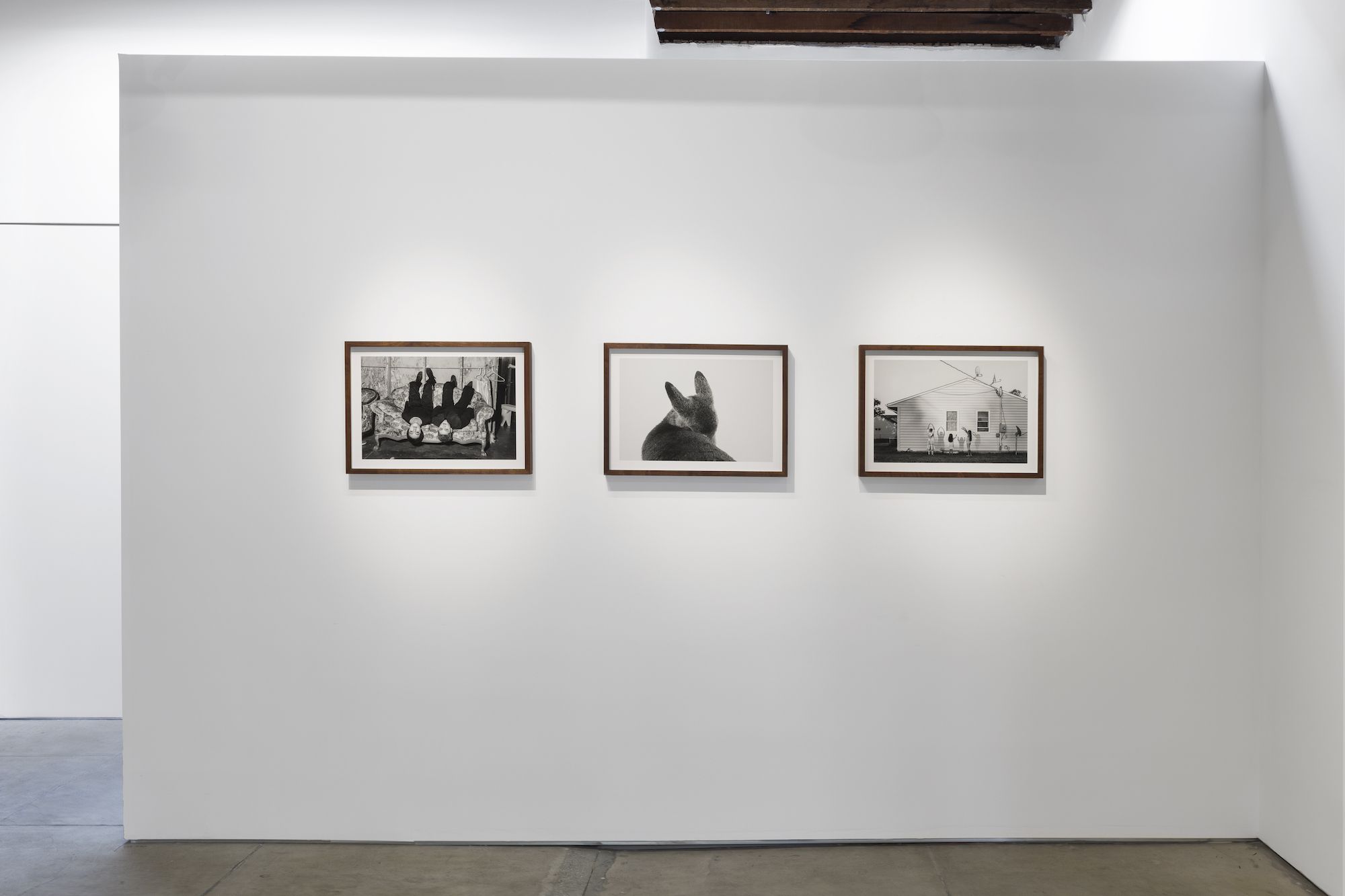 Alessandra Sanguinetti, The Sixth Day at Webber, photo 7