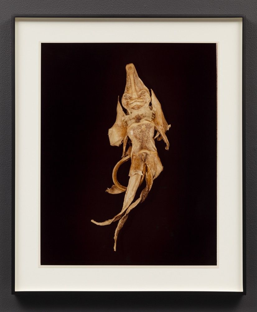Hollis Frampton, Hollis Frampton at Room East, photo 4