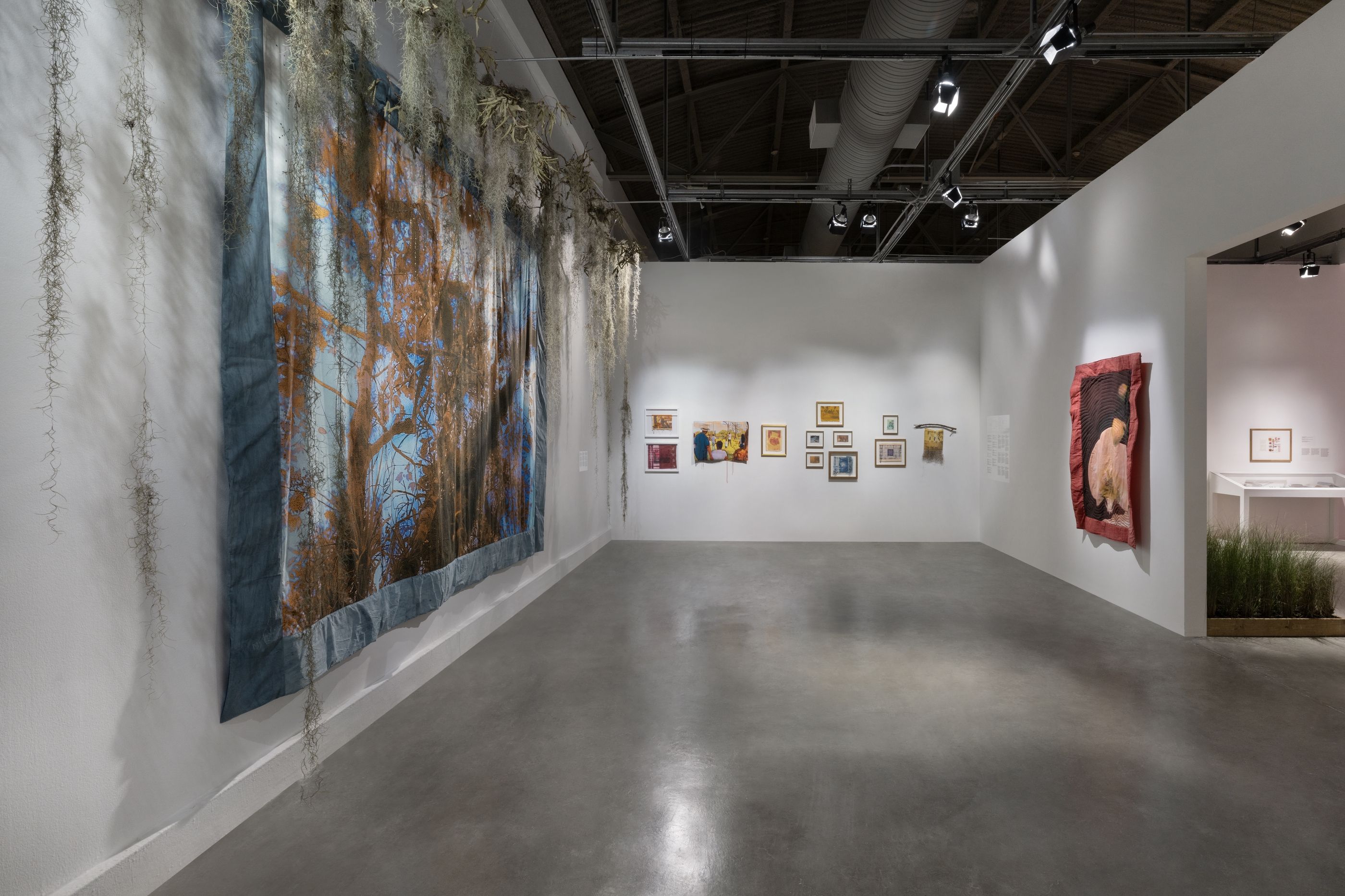 Diana Eusebio, Field of Dreams at MOCA North Miami, photo 6