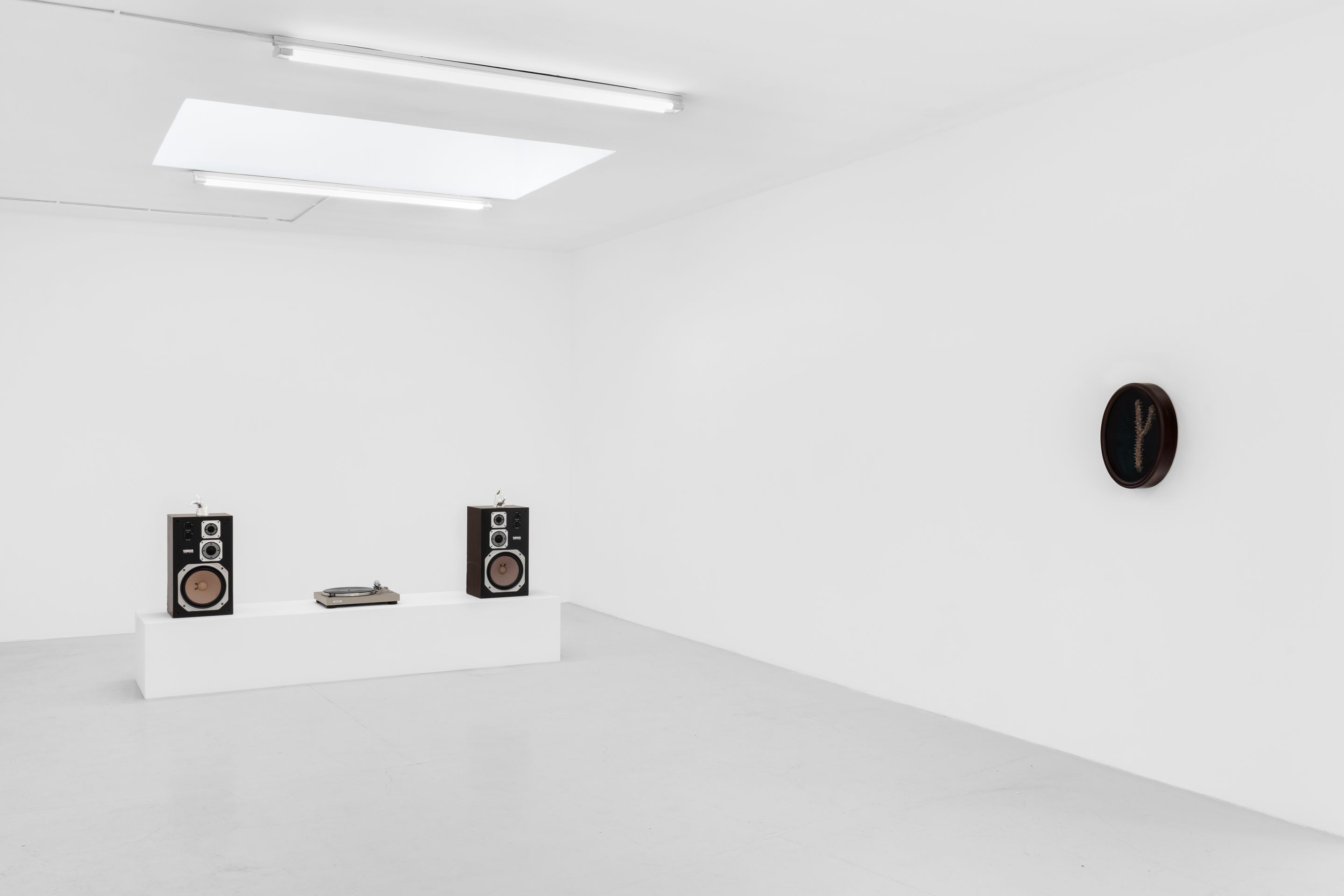 Zaza', image 10 of 23