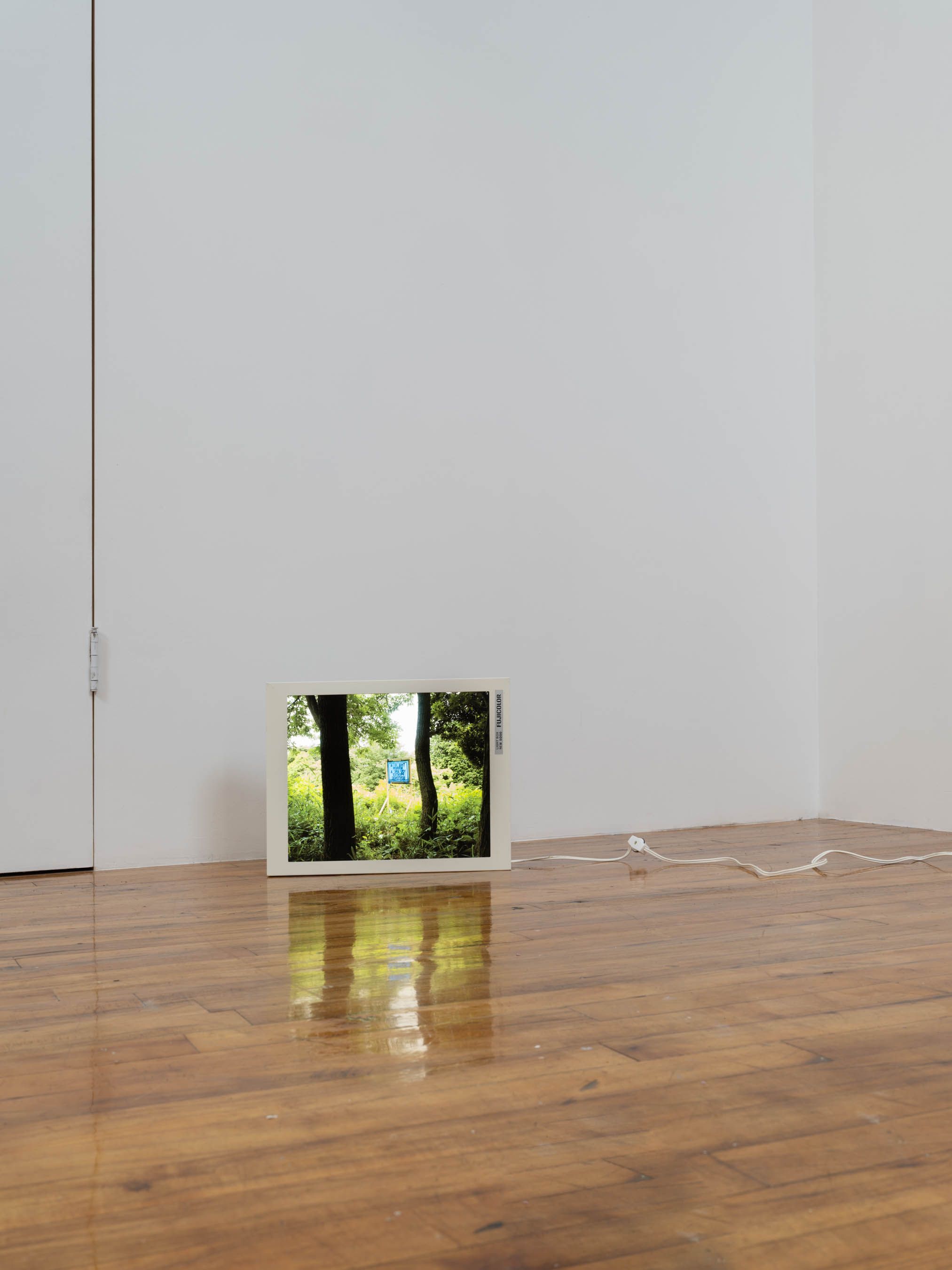 Installation view 3