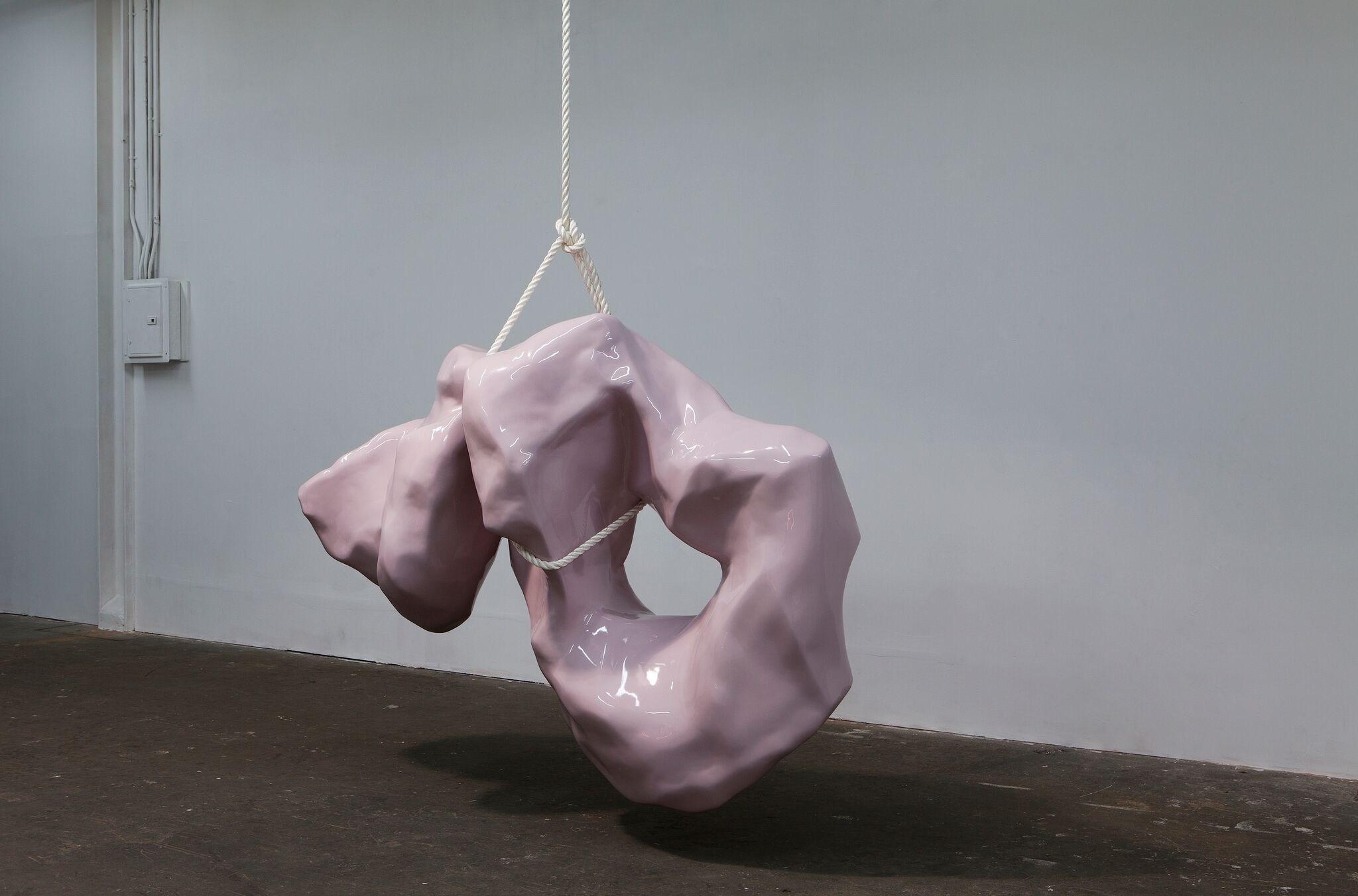 Carol Peligian, Of Body at False Flag, photo 10