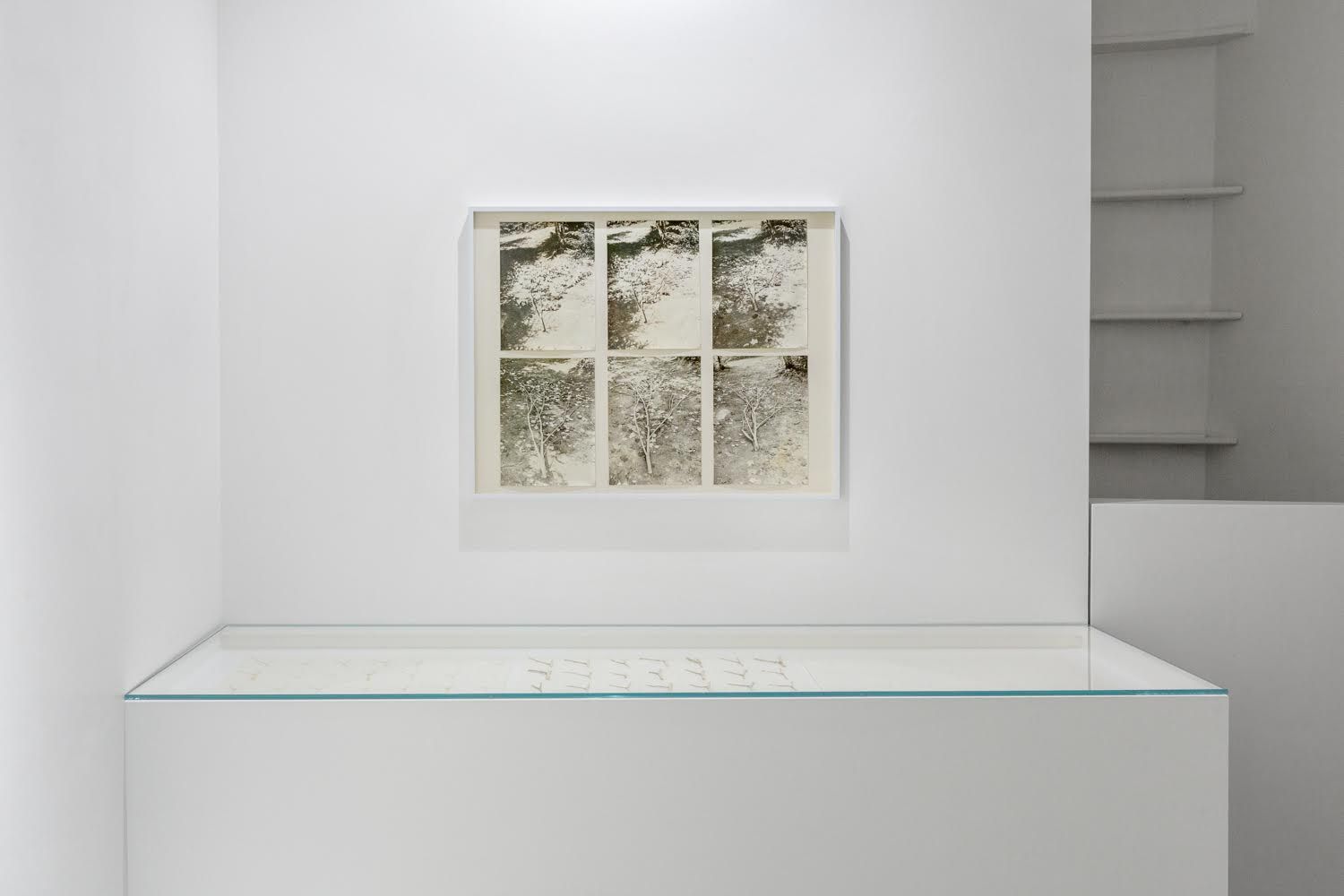 Hannah Villiger, image 6 of 7