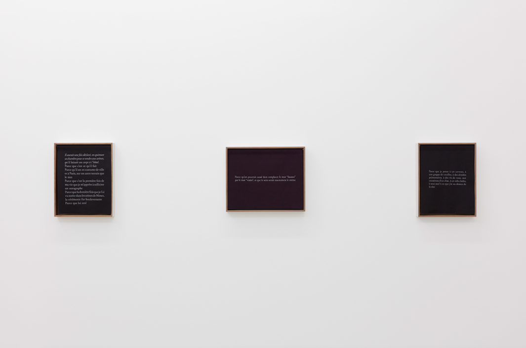 Sophie Calle, Sophie Calle at Perrotin, photo 3