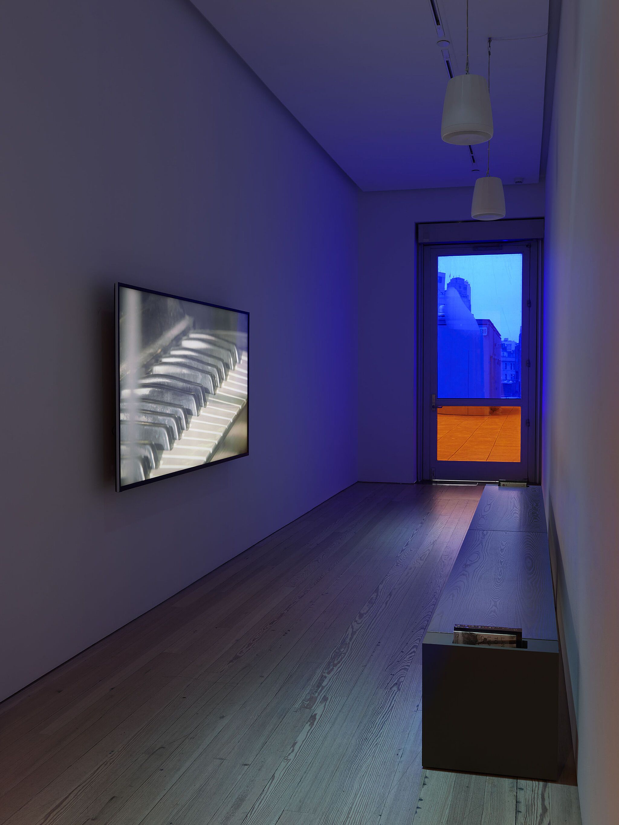 Cauleen Smith, Mutualities at Whitney Museum of American Art, photo 2