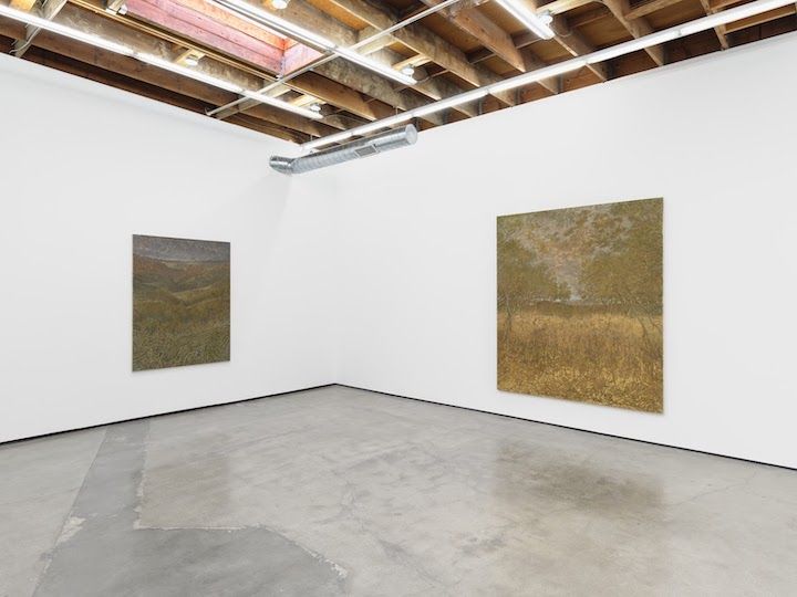 Francesco Cima, Ladra Terra at Amanita, photo 2