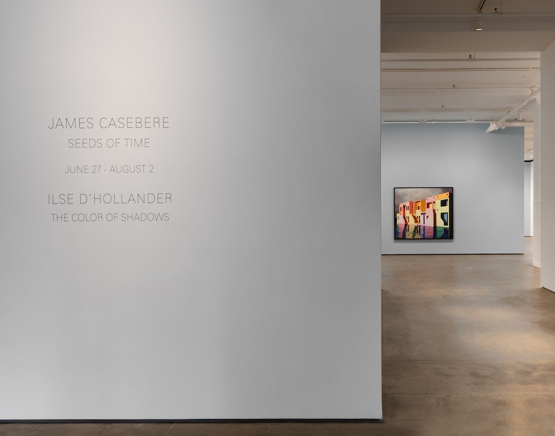 Installation view 8