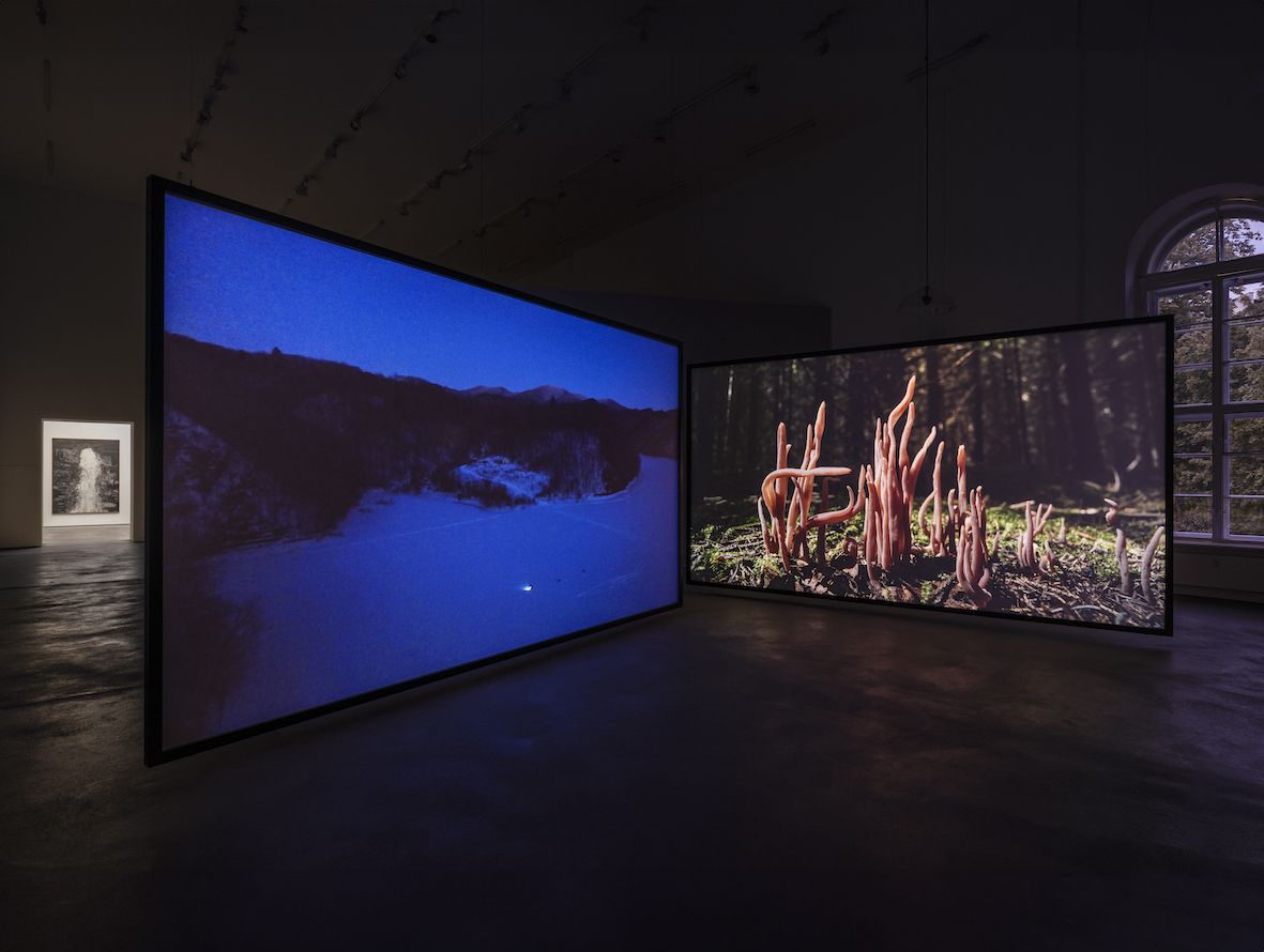 Territory, Territory at Sprüth Magers, photo 2