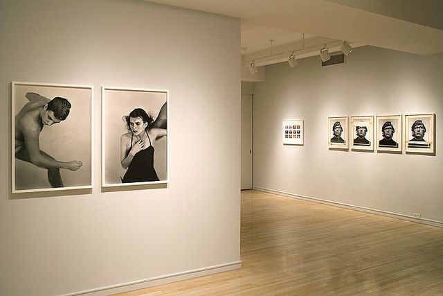 Multi Panel, Multi Panel at Pace/MacGill Gallery, photo 5