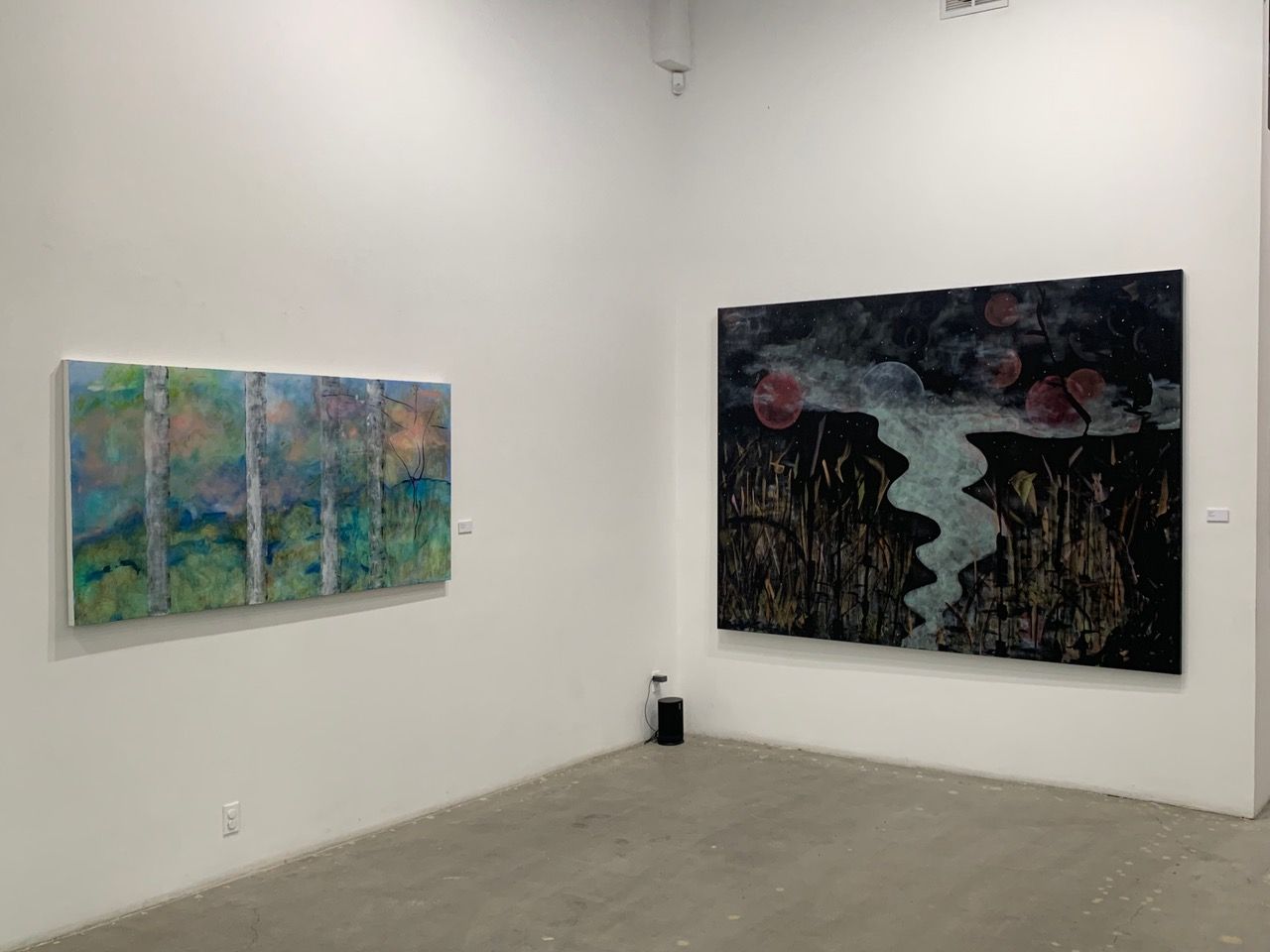 Sharon Stone, Shedding at Allouche Gallery, photo 2