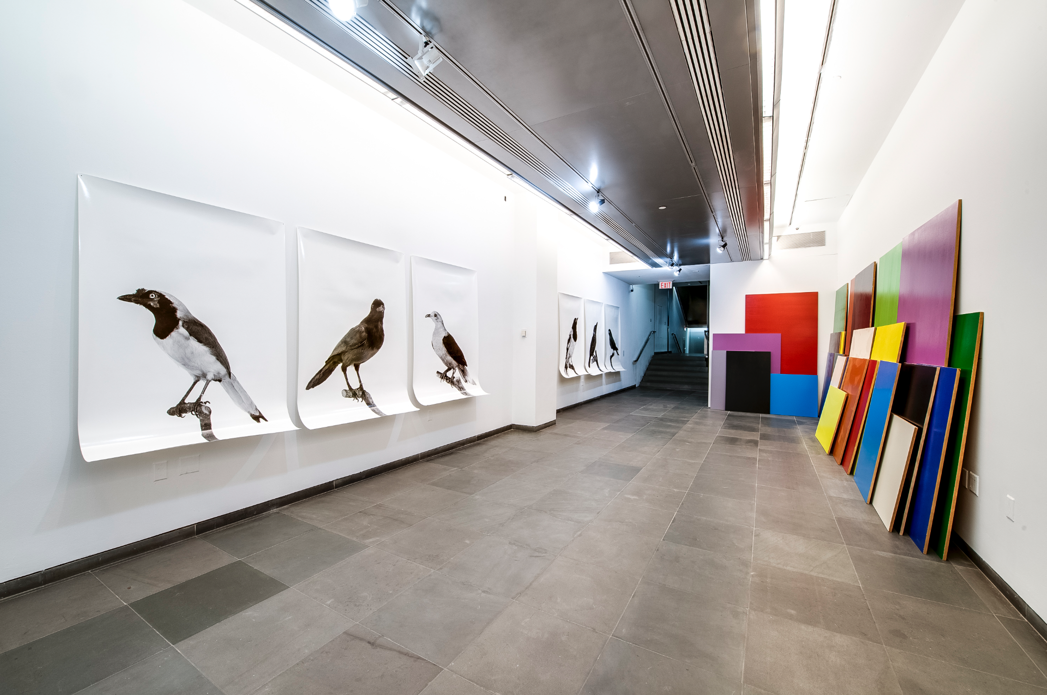 Yvonne Oswald & Tatiana Lecomte, Void at Austrian Cultural Forum, photo 13
