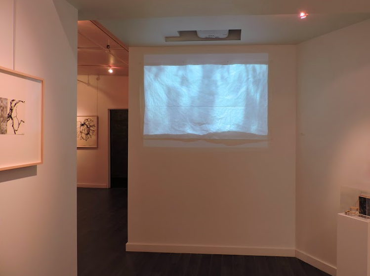 Barbara Edelstein, Leaf In The Air at Christian Duvernois Gallery, photo 6