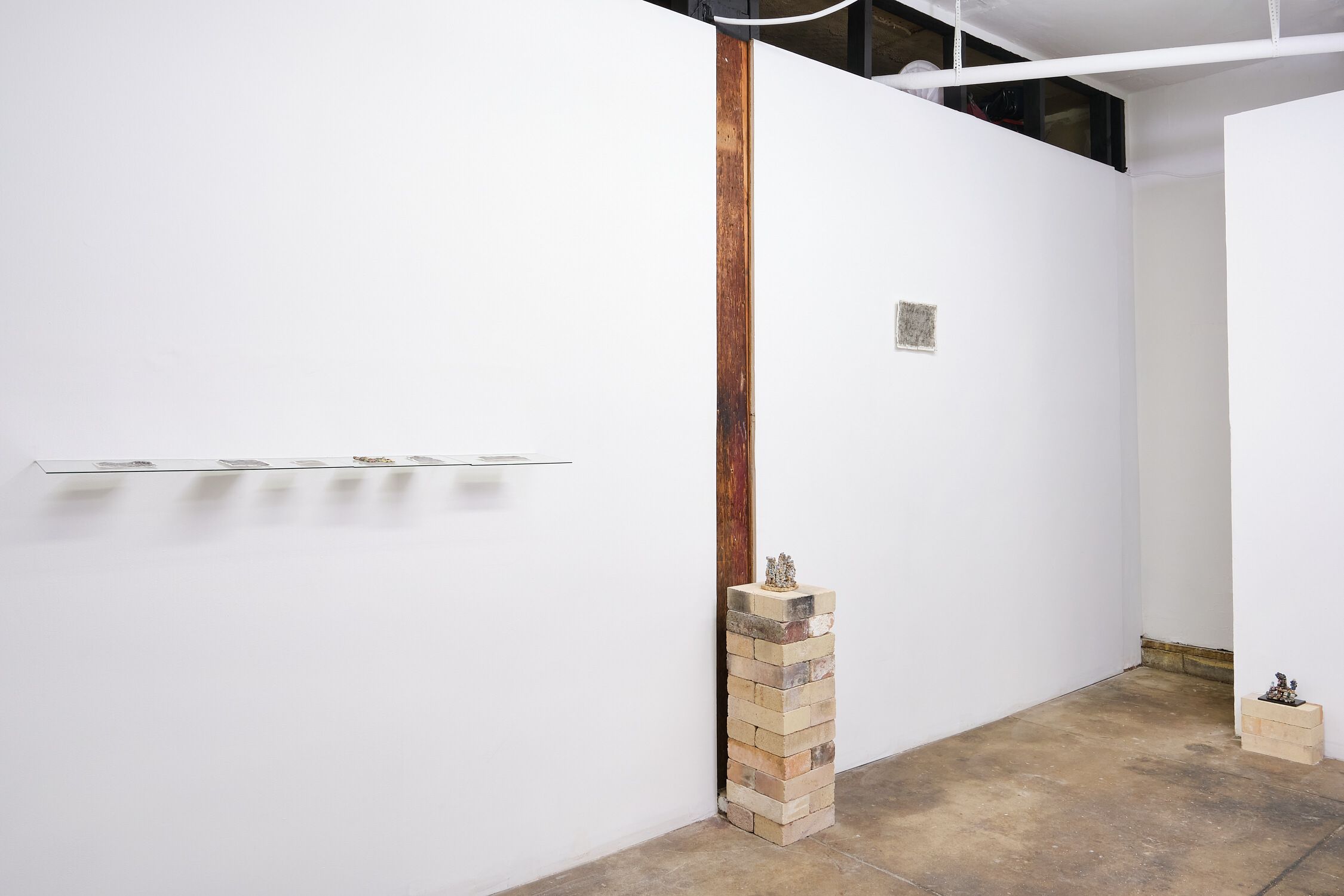Trey Ross, Future Fossils at Long Play Contemporary, photo 2