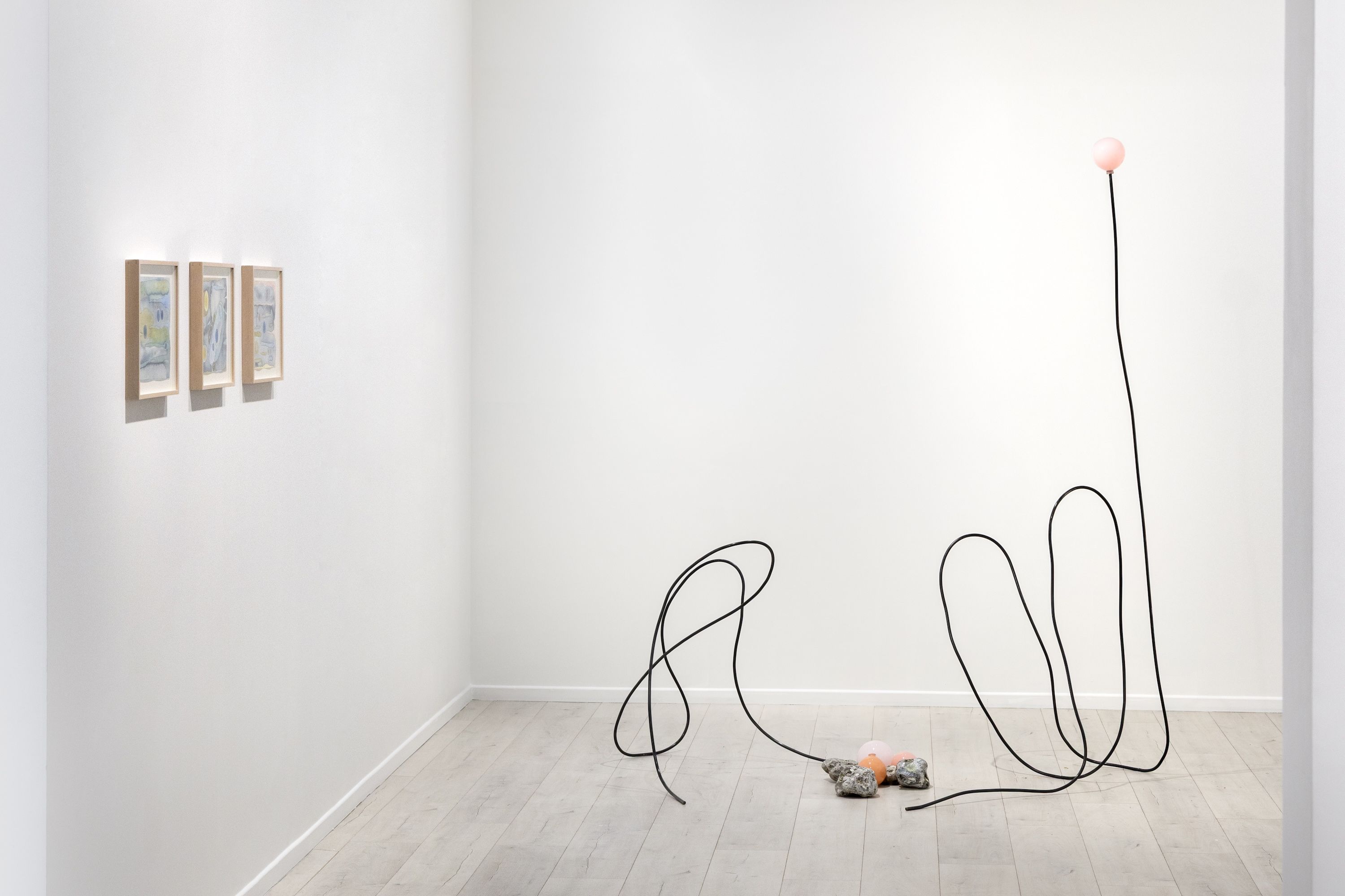 Carin Ellberg, Coastal Settlers and Species from the Sea at Andréhn-Schiptjenko, photo 16