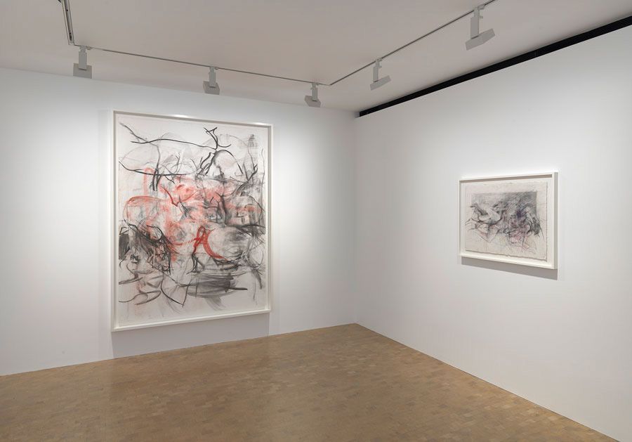 Jenny Saville, Erota at Gagosian, photo 3