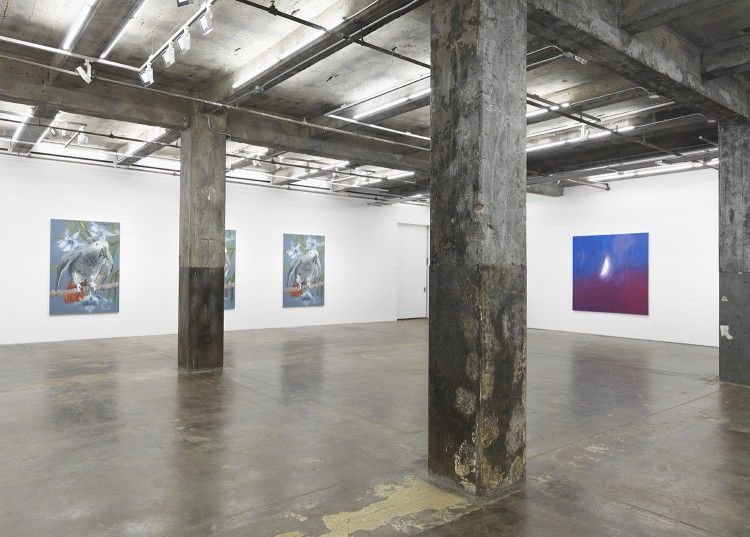 Ann Craven, Hello, Hello, Hello at Maccarone, photo 3