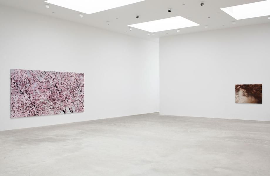 Thomas Demand, Thomas Demand at Matthew Marks, photo 2